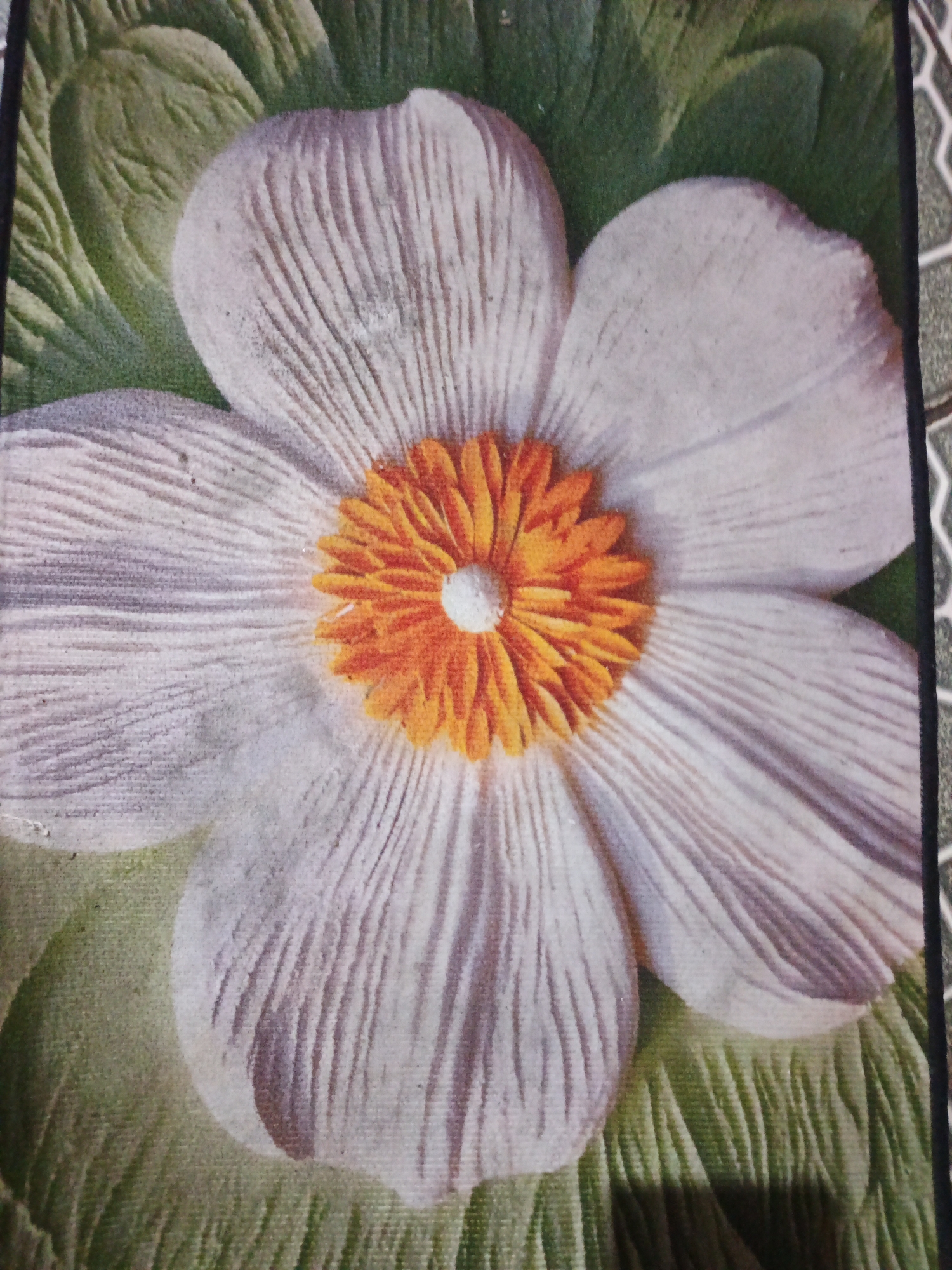The image displays a close-up, overhead view of a white flower with a vibrant orange center. The flower has five prominent petals with delicate, textured lines running from the center outwards. The background consists of green, leaf-like shapes, also with a textured appearance. The overall style suggests a painting or a highly textured photograph. There is no discernible urban environment or specific location within South Jakarta, Indonesia, visible in this image. The image is purely focused on the floral subject.