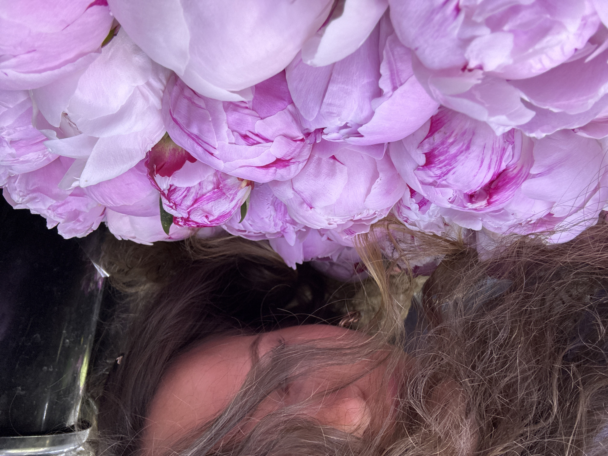 The image shows a close-up of a person's head, partially obscured by a large arrangement of pink peonies. The person's face is visible, with their skin in a warm, peachy tone. Their hair, a mix of brown and lighter brown strands, is somewhat disheveled and blends into the background. The peonies are the dominant element, with their soft, layered petals in shades of light pink and white, some featuring delicate magenta streaks. The focus is tight, with the flowers filling the top portion of the frame and extending downwards, appearing to be held above or in front of the person. The lighting is soft, highlighting the textures of the petals and hair. There are no visible text elements, and no clear cues for time of day, weather, or specific location beyond the general context of Moscow, Russia. The overall impression is intimate and visually rich due to the contrast between the soft flowers and the human form.