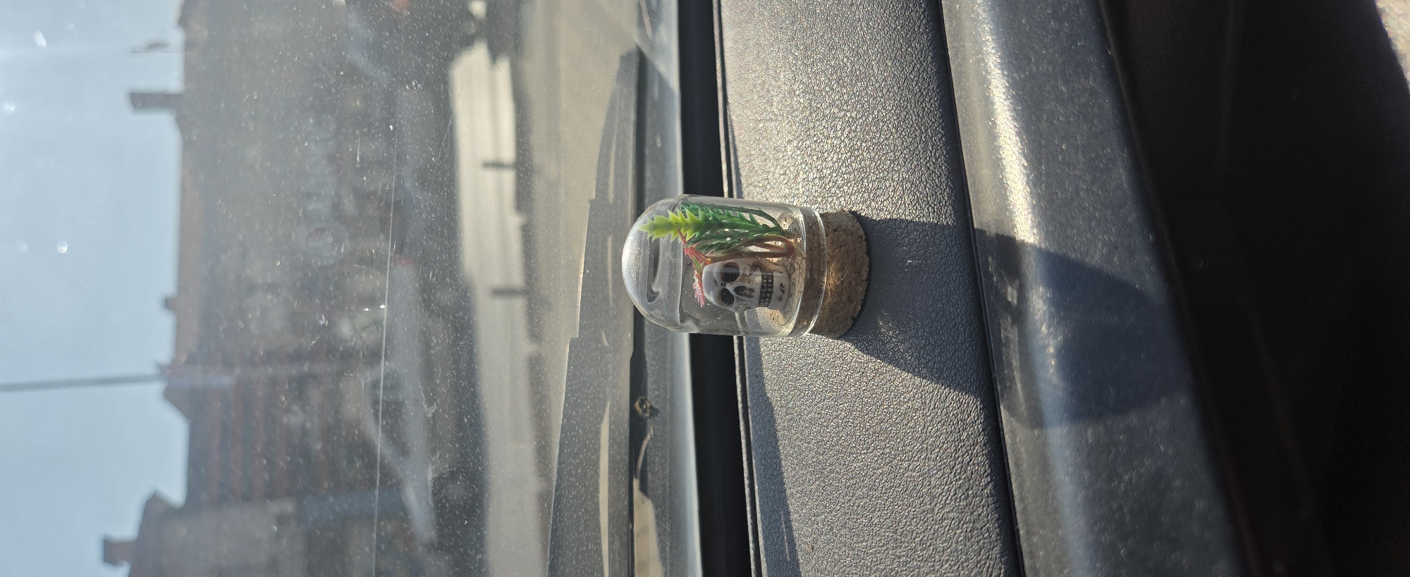 A miniature diorama featuring a skull and artificial plants is placed on the dashboard of a vehicle, with the windshield in the background showing a blurred cityscape and sky. The diorama is contained within a small glass dome with a cork base. Sunlight casts a shadow from the diorama onto the textured dashboard. The vehicle appears to be parked or in motion, with the cityscape suggesting an urban environment.