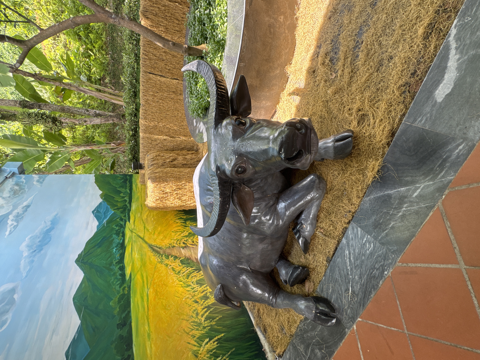 A photograph depicts an outdoor display featuring a statue of a water buffalo in Đà Nẵng, Vietnam. The statue, rendered in a dark, possibly metallic material, lies on its side atop a bed of dried fibers resembling straw. A small patch of greenery sprouts from the statue's horns. The display is situated on a tiled surface, featuring geometric patterns in red and grey.
Behind the statue, a painted backdrop shows a pastoral scene of rice paddies and mountains under a blue sky with clouds. A section of what appears to be stacked bales of straw is also visible in the background. To the left of the backdrop, a glimpse of natural foliage, including trees and tropical plants, can be seen. The overall impression is a curated display meant to evoke the rural landscape of Vietnam.
