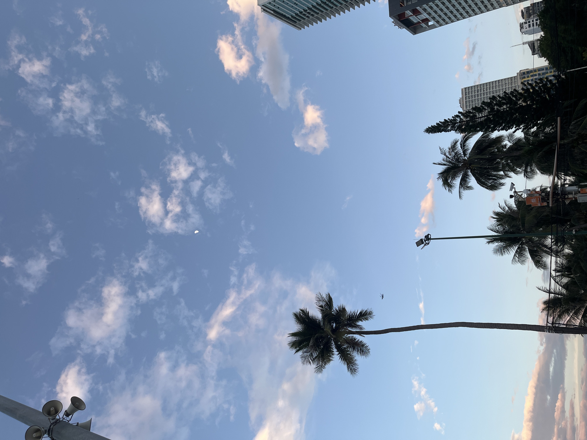 The image captures a daytime view of a city skyline with a prominent blue sky dotted with scattered clouds. In the foreground, several tall palm trees and a slender pine tree are visible, their fronds and needles silhouetted against the sky. To the left, a utility pole with multiple speakers and cameras is present. A single airplane is visible in the distance, and a crescent moon is in the upper portion of the sky. Several modern buildings, including high-rise apartment or hotel complexes, rise in the background, suggesting an urban coastal environment. The lighting indicates it is likely late afternoon or early morning due to the soft illumination and the presence of the moon. The presence of palm trees and modern architecture is consistent with locations such as Nha Trang, Vietnam. There are no people visible in the frame.