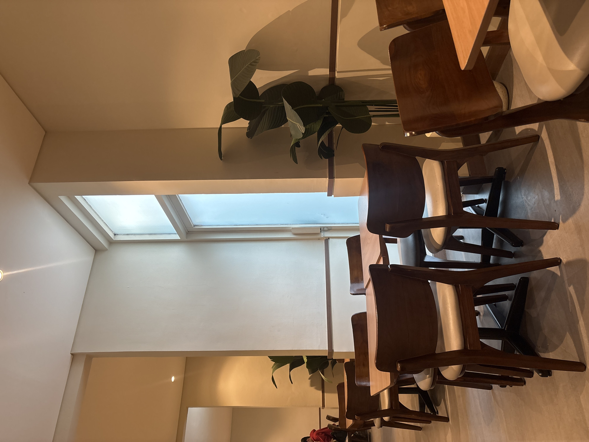 The image depicts the interior of a cafe in West Jakarta, Indonesia. The scene is clean and well-lit, with a minimalist aesthetic. Several wooden tables and chairs, upholstered in a light-colored fabric, are arranged in rows. The tables have light-colored wooden tops and dark metal bases. A large potted plant with broad green leaves stands in the corner, casting a shadow on the cream-colored wall. A tall, frosted glass window is visible on the right side of the image. In the background, a person wearing a red hoodie is seated at a table, seemingly engrossed in their phone. The overall atmosphere suggests a quiet and modern dining establishment.