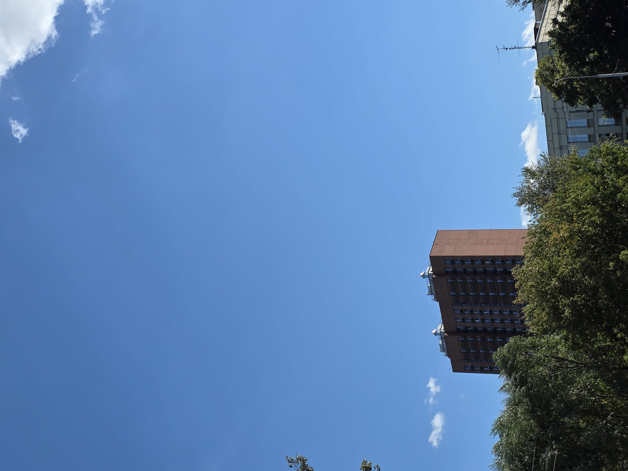 The image shows a clear blue sky with a few wispy clouds. In the foreground, a dense canopy of green trees partially obscures the view of buildings behind them. To the left, a tall, brick apartment building with many windows is visible. To the right, another building with a lighter facade and an antenna on its roof can be seen. The scene appears to be a residential area in Moscow, Russia, likely during the daytime.