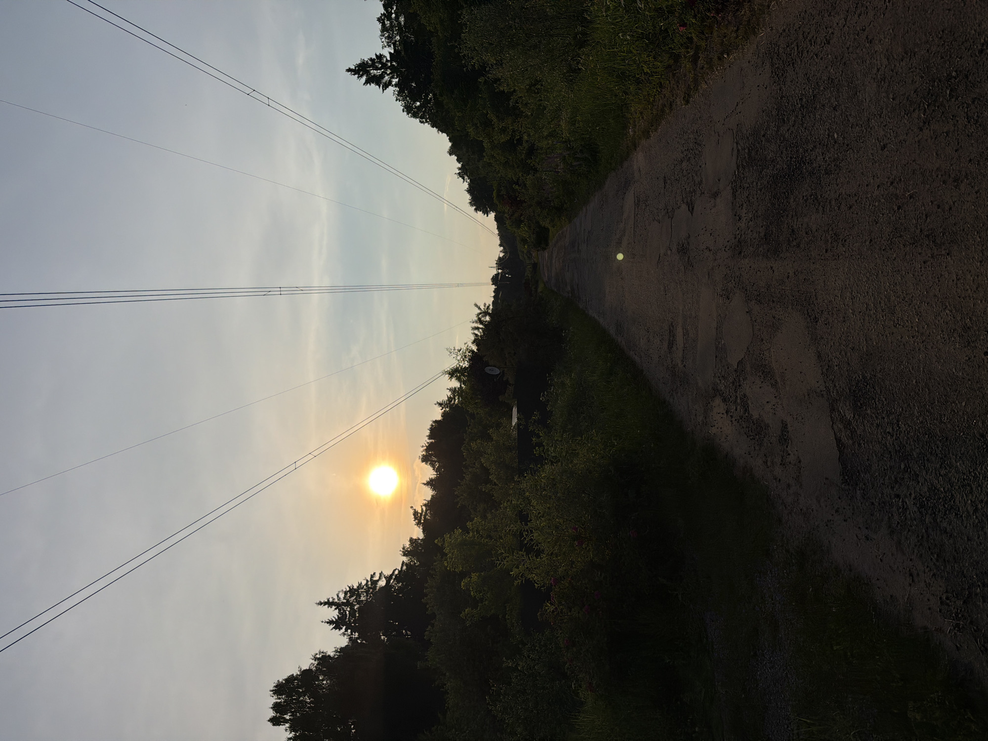 An eye-level, full shot captures a rural dirt road at sunset, flanked by dense trees and foliage on either side. The road stretches into the distance, disappearing beyond a rise in the terrain. Overhead, power lines are strung between unseen poles, their thin wires creating a geometric pattern against the pale, hazy sky. The sun, a bright orb near the horizon, casts a warm glow, illuminating the scene with a soft, golden light. A faint green lens flare is visible on the road in the middle ground, a result of the camera's exposure to the bright sun. The foliage on the left side of the road appears darker and more shadowed, while the right side is partially illuminated by the setting sun. The road itself is unpaved and shows signs of wear and tear, with visible cracks and uneven surfaces. The overall atmosphere is peaceful and serene, evoking a sense of solitude and natural beauty.