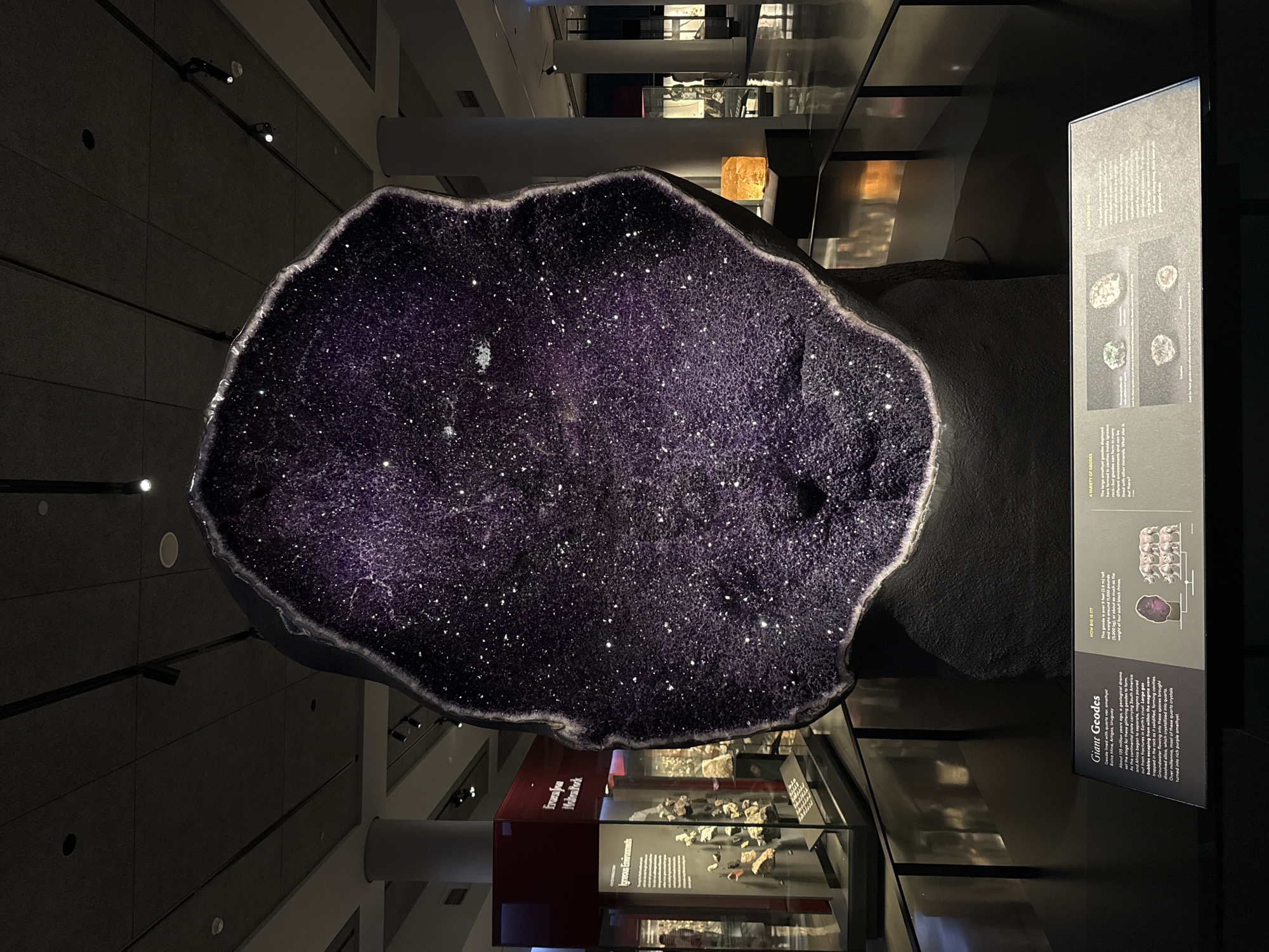The image displays a massive, vertically oriented amethyst geode within an indoor museum exhibit, located in New York, United States of America. The geode, an impressive geological formation, features a deep purple, sparkling crystalline interior, contrasted by a lighter, rough outer edge. It appears to be internally lit, enhancing the brilliance of its countless crystals.
No people are visible in the scene. The setting is a dimly lit exhibition hall with dark walls, exposed ceiling structures, and glass display cases. To the right of the geode, a tall informational panel explains its origin and characteristics. The visible text identifies it as a "Giant Geode" and details its formation "About 135 million years ago" from "magma" and "Groundwater flowing into these spaces," which led to quartz crystals turning into "rich purple amethyst." It highlights the geode's immense size: "over 9 feet (2.8 m) tall and weighs around (5,000 kg), or about the weight of four adult black rhinos." The panel also includes sections on "A VARIETY OF GEODES" with illustrative diagrams. Below the geode, another display case contains geological specimens, labeled with "Igneous Environments." The overall atmosphere is educational, showcasing a natural wonder in a controlled, illuminated environment.