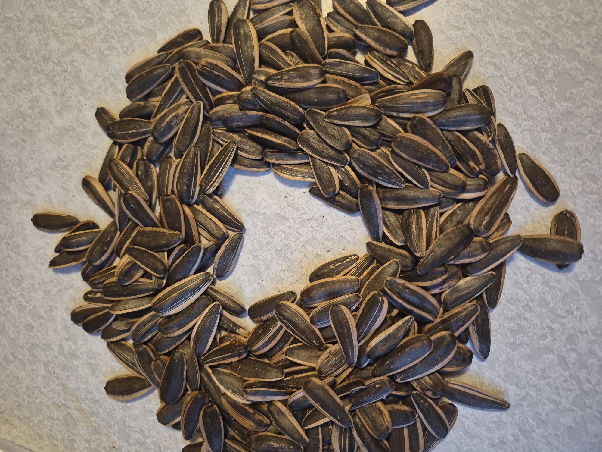 The image shows a pile of sunflower seeds arranged in a rough heart shape on a light-colored, speckled surface. The seeds are dark brown with lighter stripes and are scattered and overlapping. There are no people or animals visible in the image. The background is a plain, textured surface. The image does not provide any information about its location in Khabarovsk, Russia, or any other specific geographical context.