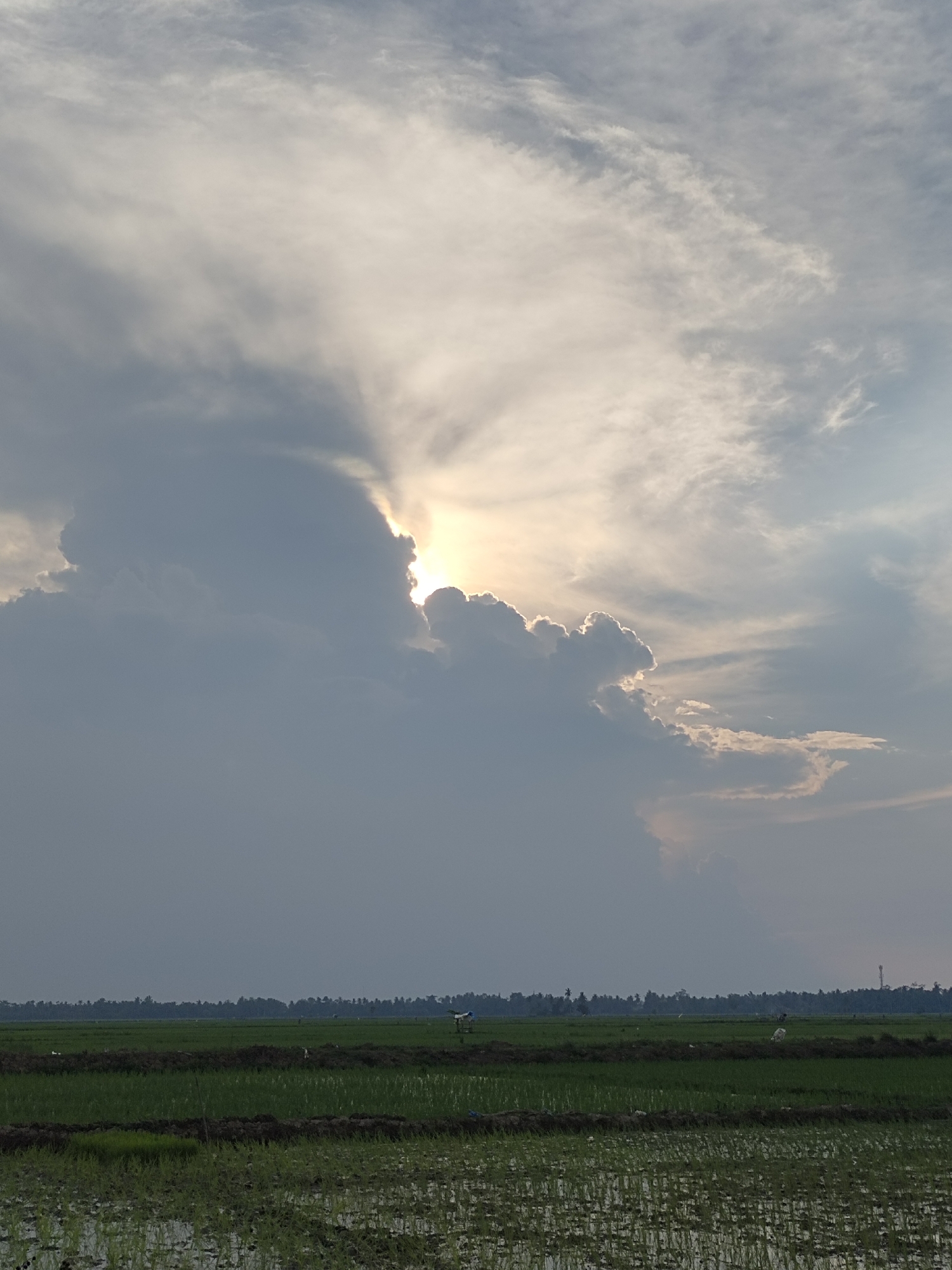 The image captures a broad view of rice paddies in Rayeukmatangkuli, Indonesia. The foreground shows flooded rice fields with young green shoots, reflecting the sky. Further back, more mature green rice fields are visible, interspersed with patches of dark soil. A line of trees forms the horizon, with a few structures, including a telecommunications tower, visible in the distance. The sky is dramatic, dominated by large, gray clouds that partially obscure the sun, creating rays of light that emanate from behind them. The lighting suggests it is either dawn or dusk. There are no people or animals clearly visible in the image.
