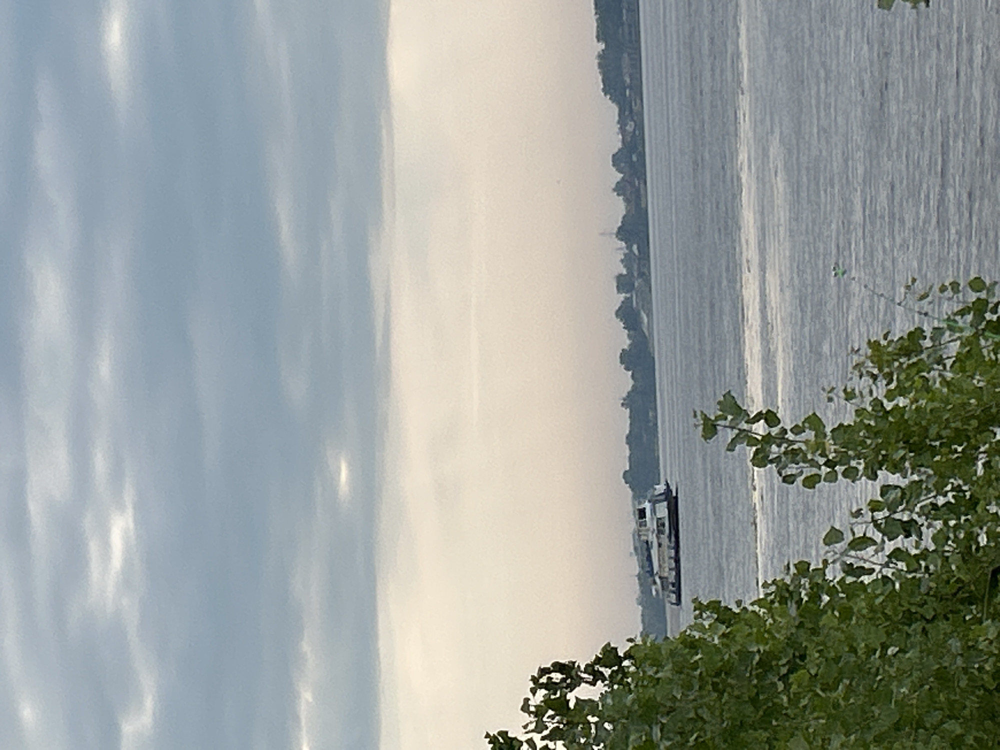 A passenger boat navigates a wide body of water under a cloudy sky. The boat, appearing white and grey with multiple decks and windows, is positioned in the middle ground. Along the horizon, a treeline marks the edge of the land, with hints of buildings visible. In the foreground, lush green foliage partially obscures the view of the water. The overall scene evokes a calm, overcast day, likely near a river or bay. Based on the description of Novokuybyshevsk, Russia, this scene could be on the Samara River, a prominent waterway near the city.