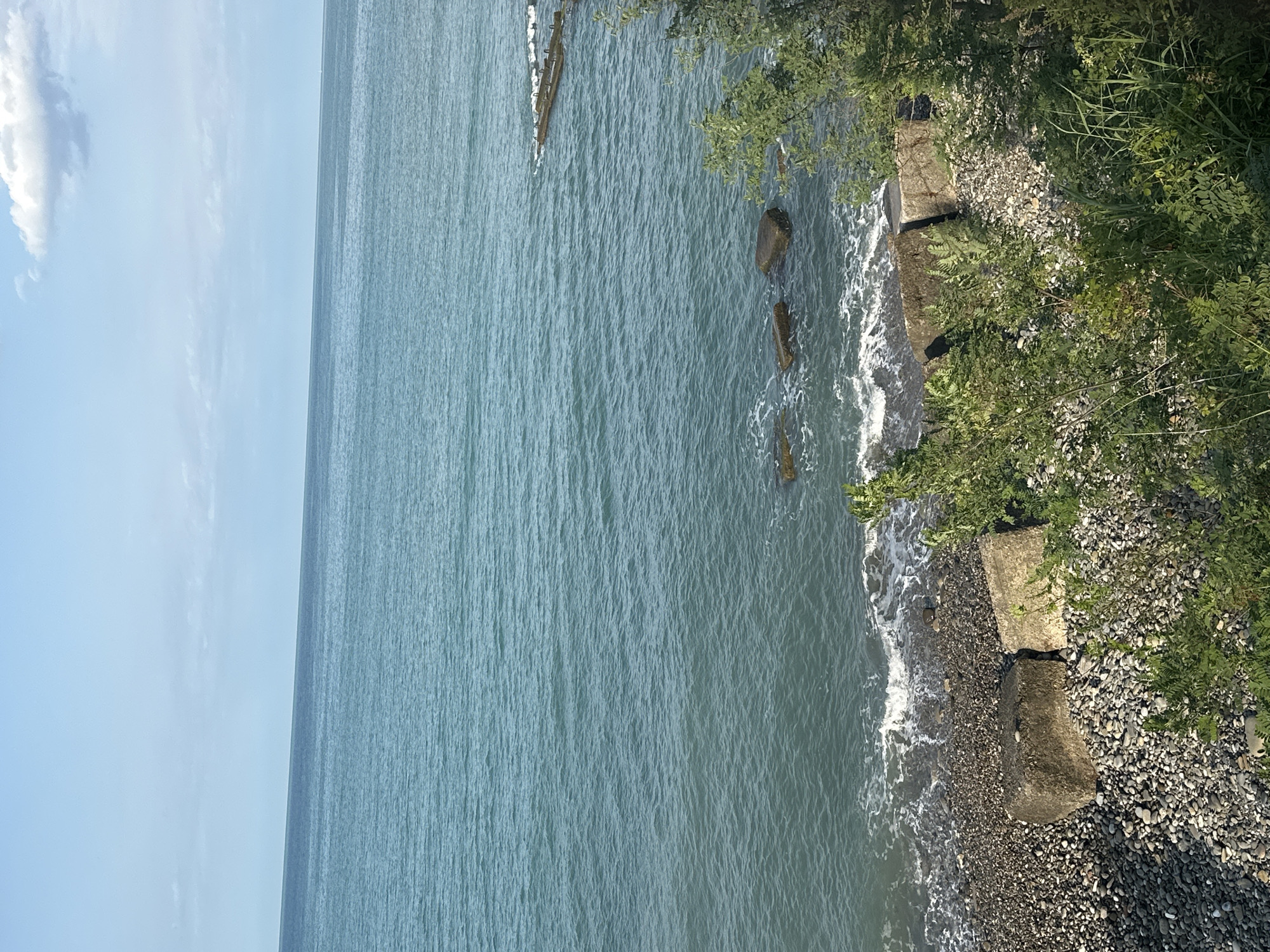 An aerial shot captures a serene coastal scene along the Black Sea in Sochi, Russia. The turquoise water gently laps against a pebble-strewn shore, punctuated by large, weathered concrete blocks and scattered rocks. Lush green vegetation, including trees and bushes, frames the foreground, creating a natural barrier between the land and the sea. The horizon line is sharp, dividing the vast expanse of the sea from a pale blue sky dotted with wispy white clouds. There are no people or animals visible in the frame, contributing to the tranquil and untouched atmosphere of the location.