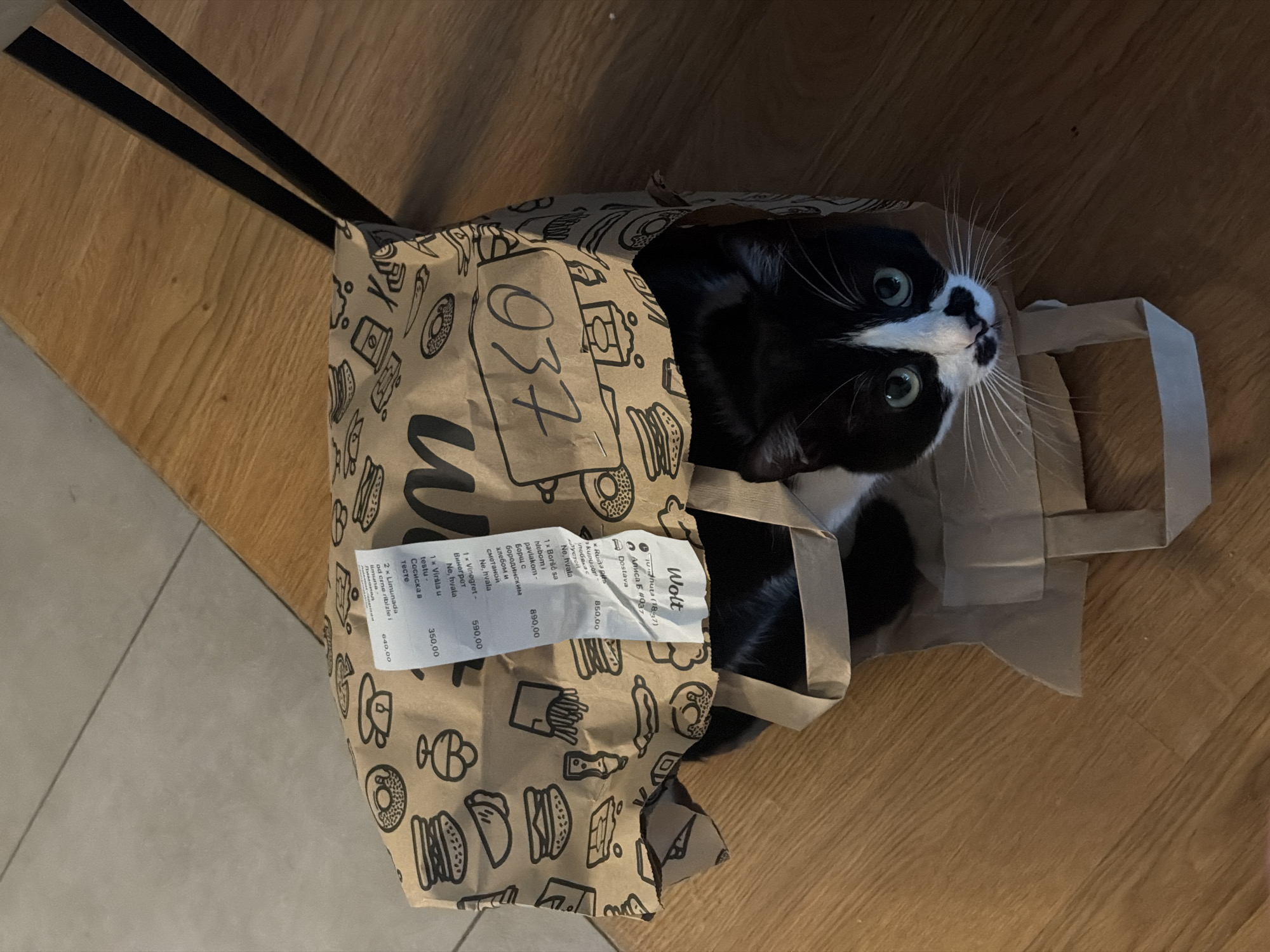 A curious black and white tuxedo cat peeks out from inside a brown paper delivery bag, its bright green eyes looking directly upwards. The cat has prominent white whiskers and a white muzzle, contrasting with its mostly black fur. The setting appears to be indoors, with the cat and bag resting on a wooden floor, possibly parquet.
The delivery bag, emblazoned with the "Wolt" logo and a handwritten "037" (likely an order number), features repeating illustrations of various food items such as burgers, fries, donuts, and coffee cups. A crumpled white receipt, also displaying the "Wolt" logo, is tucked into the bag. Visible text on the receipt, partially in Serbian, includes "Dostava" (Delivery) and a list of ordered food items: "Boršč sa hlebom i pavlakom" (Borscht with bread and sour cream), "Vinegret" (Vinaigrette salad), "Viršla u testu" (Sausage roll/Hot dog in dough), and "Limunada od crne ribizle i limuna" (Blackcurrant and lemon lemonade), along with corresponding prices.
The lighting is soft, suggesting an indoor environment, possibly during the daytime or evening. The cat's posture within the bag conveys a sense of playful exploration or comfort. Two thin, dark parallel lines are visible on the wooden floor in the upper left, possibly part of furniture. The overall scene captures a common domestic moment of a pet interacting with new household items, in this case, a food delivery bag in Belgrade, Serbia.