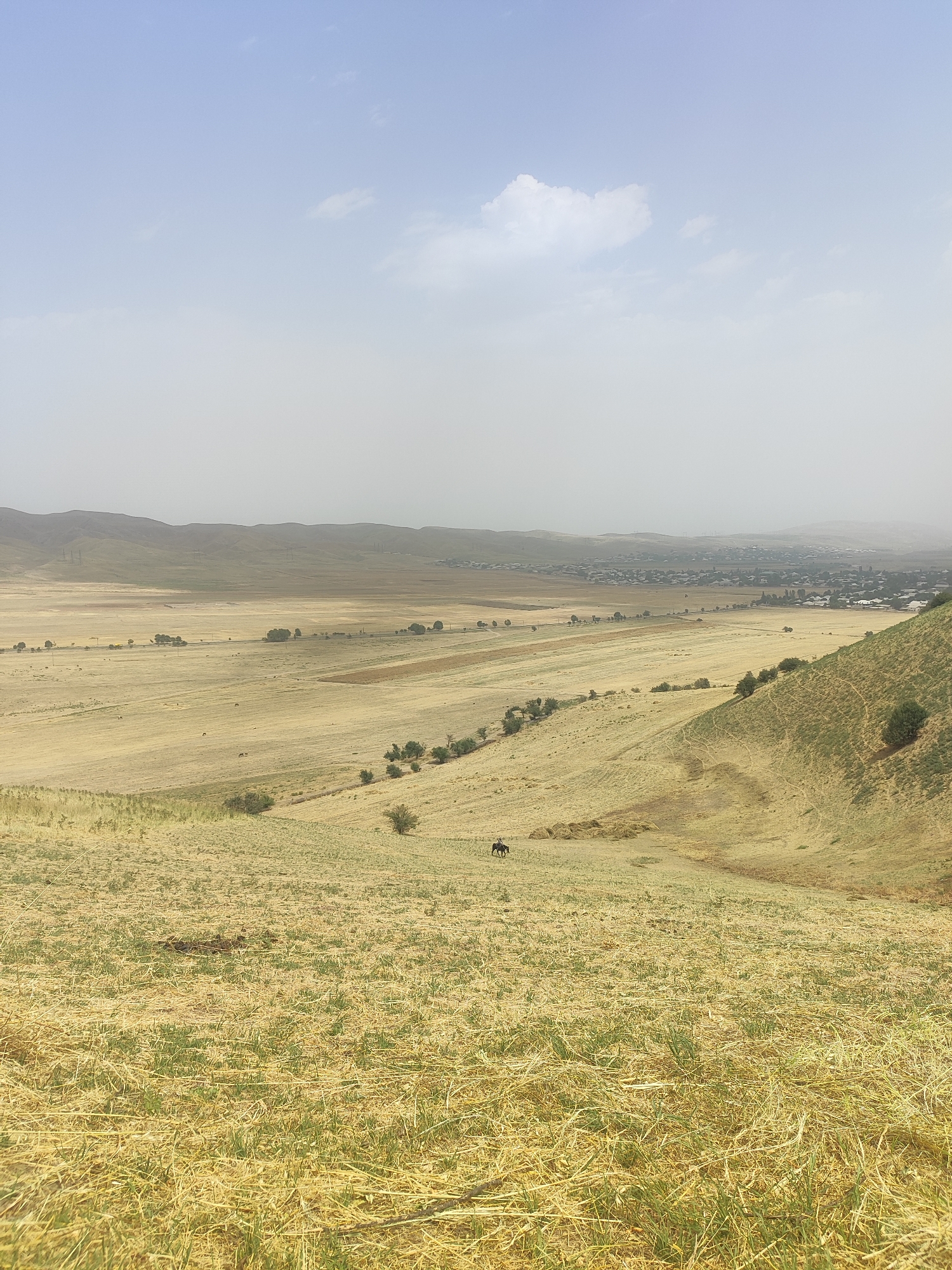 This is an outdoor, vertical, wide shot of a rural landscape under a hazy sky. In the foreground, a grassy hillside is covered in dry, yellow straw with patches of green growth. A single dark horse is visible in the middle distance, walking across a field of hay. Further back, a vast, arid plain stretches out, dotted with scattered trees. A distant town or village is nestled among the rolling hills in the background, with power lines crisscrossing the landscape. The overall impression is one of a dry, agricultural region.