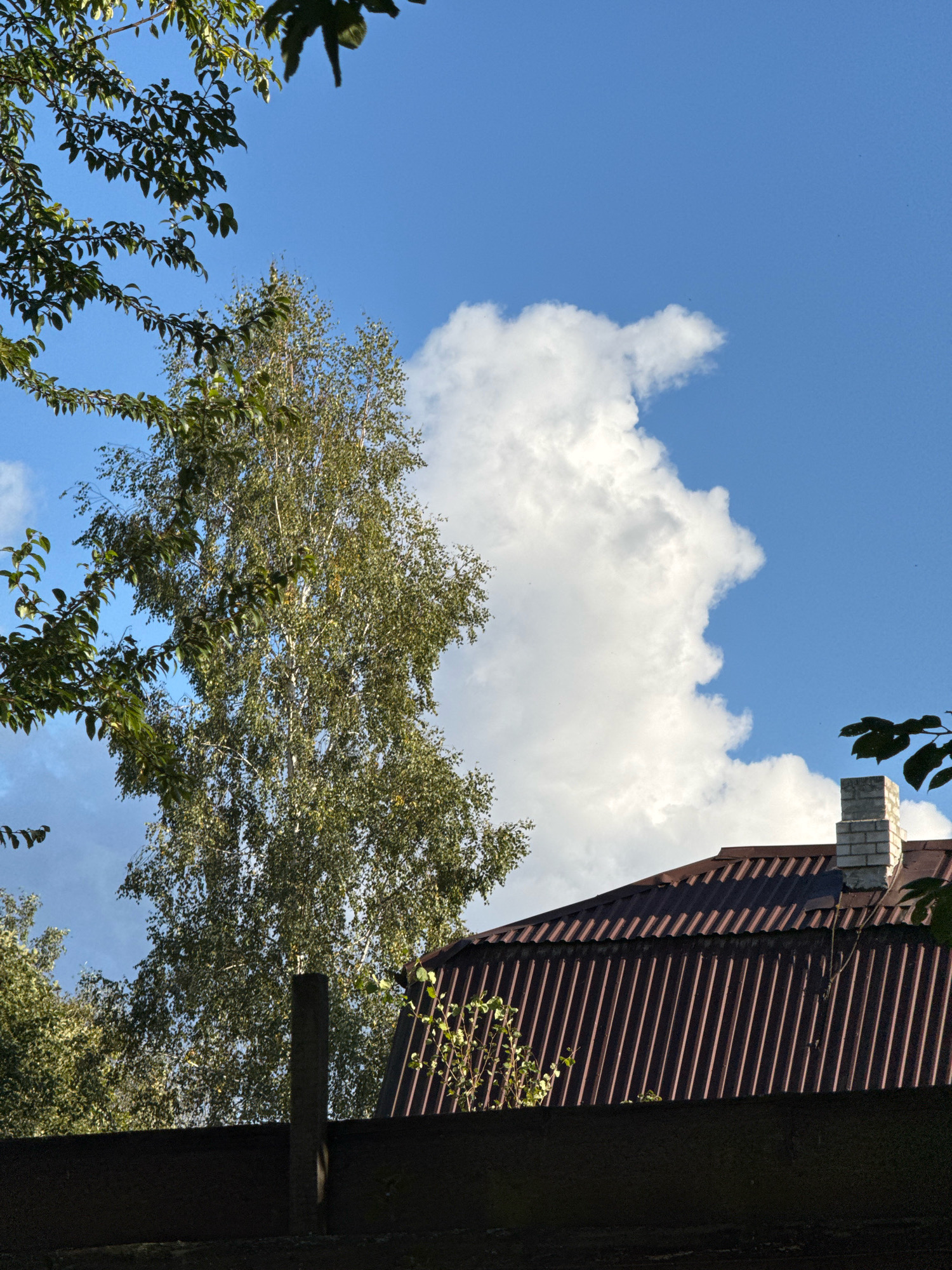 A cloudy sky with a large, white cumulus cloud formation is visible above a dark, corrugated metal roof. A brick chimney protrudes from the roof. To the left of the roof, a tall, slender tree with light green leaves stands against the sky. Dark green foliage from a tree branch is in the upper left corner, and another branch with leaves is in the upper right corner. A dark, solid fence runs along the bottom of the image, with a vertical support pole visible in the center. The scene appears to be in a residential area in Вароніцкі сельскі Савет, Belarus. There are no people or animals present.