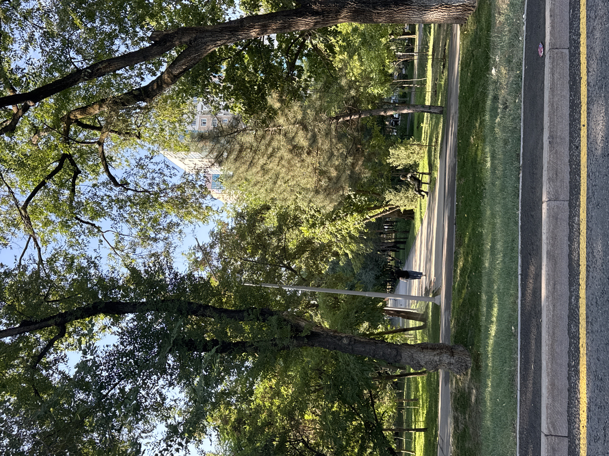 The image depicts a park scene in Almaty, Kazakhstan, possibly along one of the city's main avenues like Dostyk Avenue, known for its tree-lined walkways and proximity to residential buildings. In the foreground, a paved road with a yellow line marking is visible. A sidewalk separates the road from a grassy area. Beyond the grass, a paved walkway meanders through a park. On this walkway, a lone individual, dressed in dark clothing, is walking away from the camera. Further along the path, a person is seated on a park bench, facing the walkway, with a young coniferous tree to their right. A tall, modern residential building is visible through the trees in the background, suggesting an urban park setting. The park is lush with mature trees, casting shadows and creating dappled sunlight on the ground, indicating a sunny day. The overall impression is one of a peaceful urban oasis.