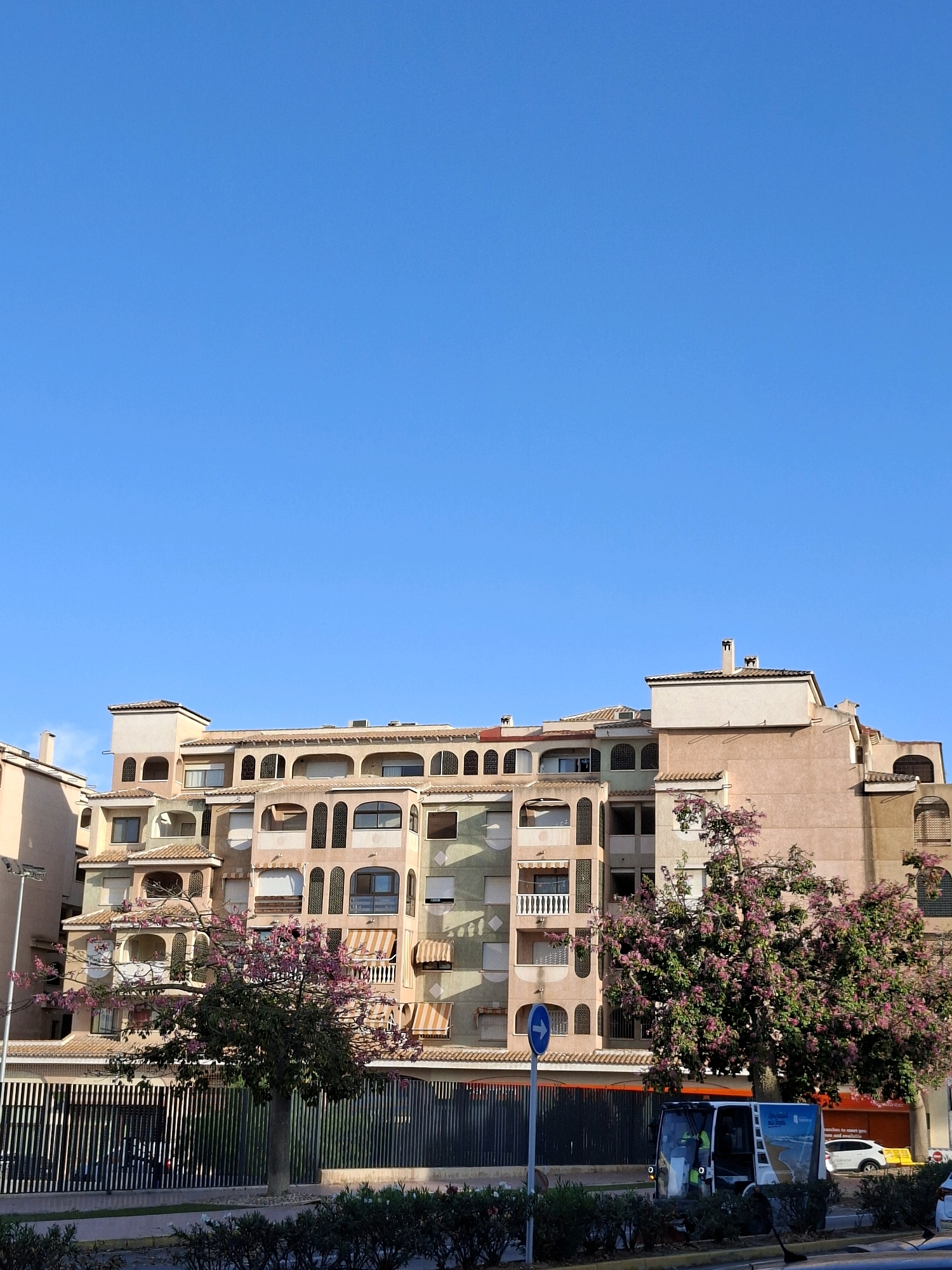 In Torrevieja, Spain, a tall, multi-story building with a peach-colored facade is visible against a clear blue sky. The building features several balconies, arched windows, and awnings. A tree with pink blossoms stands in front of the building, partially obscuring it. A black metal fence runs along the foreground, separating the building from a road where a white bus and a white car are parked. In the distance, more buildings and trees are visible. The scene appears to be a residential area, possibly an apartment complex, on a sunny day.