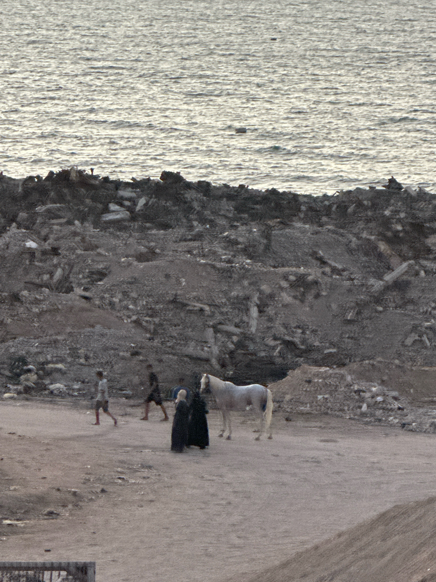 The image shows a barren, debris-strewn landscape with a body of water in the background. In the foreground, a white horse stands near a few individuals. Two people are dressed in dark, flowing garments, one appearing to be a woman in a hijab, and the other in a long black abaya. Two other individuals, appearing to be men, are walking further away. One man is wearing a light-colored shirt and shorts, and the other is wearing a darker outfit. The ground is mostly dirt and rubble, with piles of debris visible throughout the scene. The water in the background appears to be a sea or ocean, with small waves creating a textured surface. The overall impression is one of desolation and a lack of vegetation. This scene is consistent with the urban landscape of Gaza City, Palestinian Territories, which has experienced significant destruction and debris accumulation in recent years due to conflict.