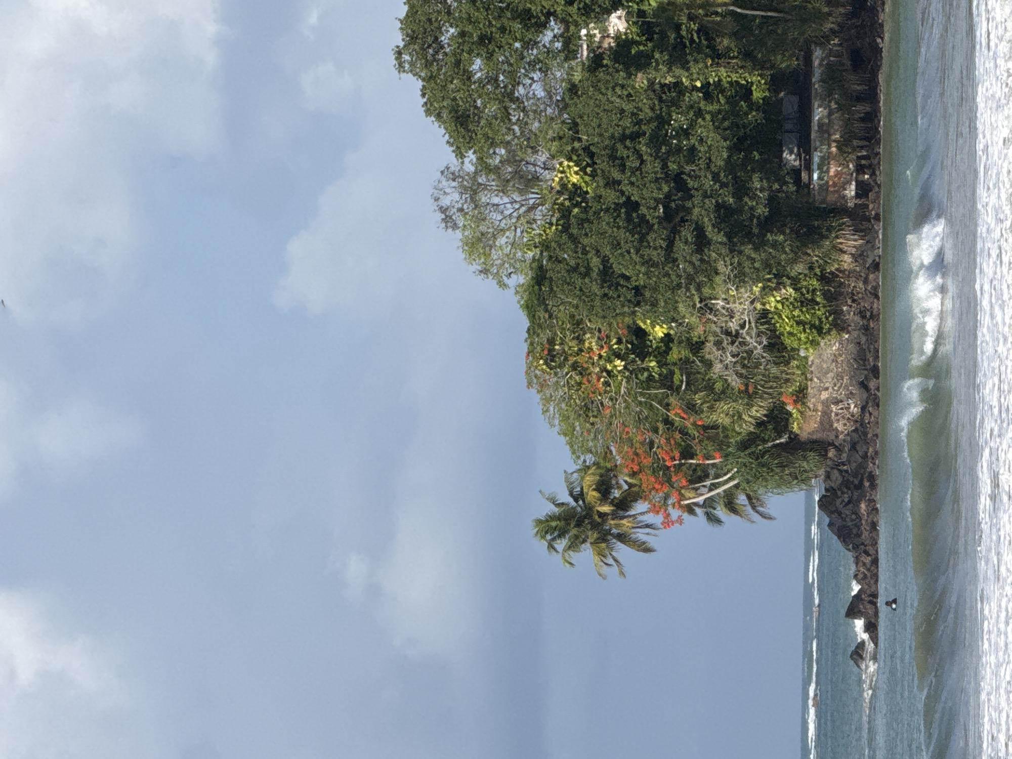 The image captures a coastal scene in Weligama, Sri Lanka, dominated by a rocky outcropping covered in lush green vegetation and vibrant orange flowers. A lone surfer is visible in the turquoise waters, paddling in the gentle waves. The sky above is partly cloudy, with a mix of blue sky and soft white clouds. The ocean stretches out to the horizon, with smaller waves breaking near the shore. In the background, a few distant boats can be seen. The overall impression is one of natural beauty and tranquility.