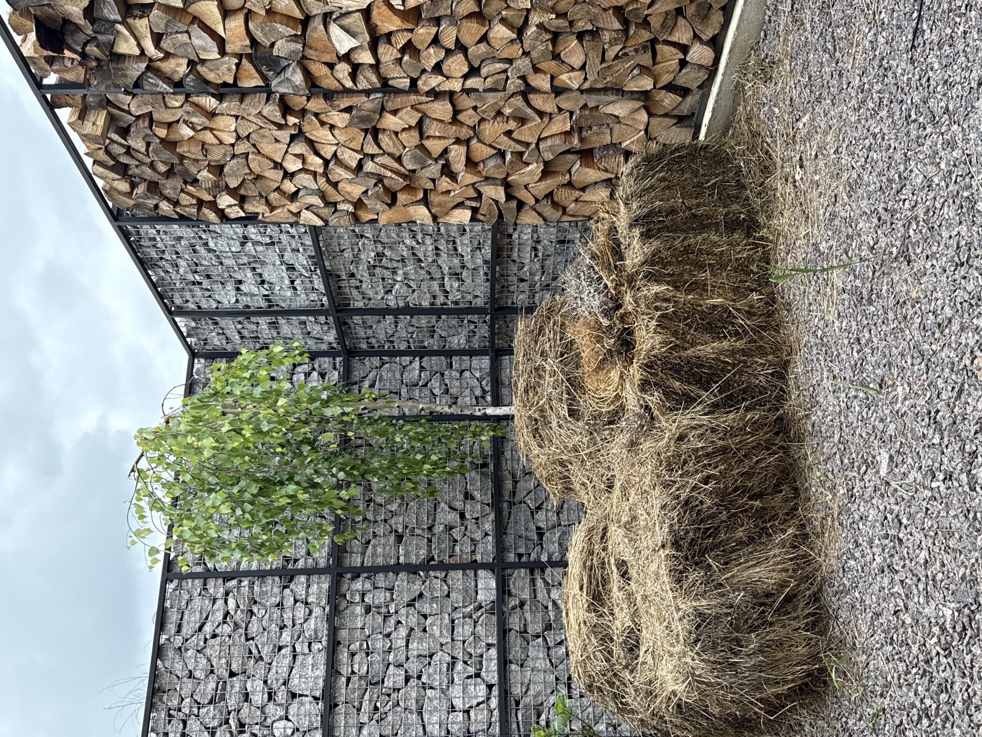 The image depicts an outdoor scene in Vyakhtelevo, Russia, featuring a stack of firewood and a bale of hay. The firewood is neatly stacked above a gabion wall filled with gray rocks, suggesting a decorative or functional outdoor structure. To the right of the gabion wall, a large bale of dry hay rests on a gravel surface. A small tree with green leaves grows near the gabion wall, adding a touch of nature to the scene. The overall composition suggests a rustic or naturalistic design element within an urban or suburban setting.