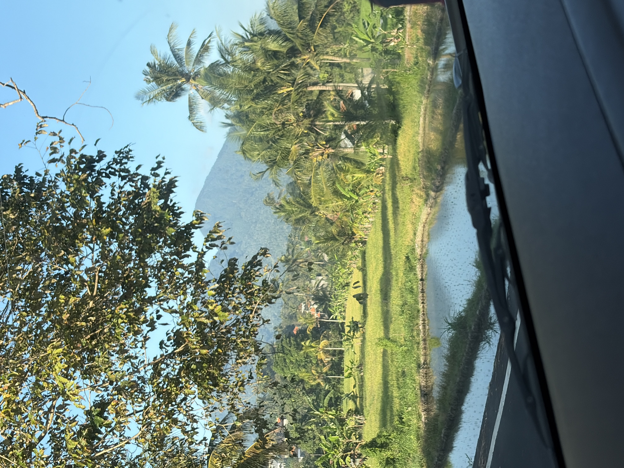 The image captures a tranquil scene of lush green rice paddies and surrounding vegetation, with a prominent mountain in the background. In the foreground, a body of water, likely part of the rice paddy irrigation system, reflects the blue sky and the surrounding greenery. The view appears to be from inside a vehicle, with the windshield and wipers visible at the bottom of the frame.
To the left, a large tree with dense foliage partially obscures the view, its branches reaching towards the sky. The rice paddies are dotted with small plants and some darker figures, possibly people, are visible in the distance, engaged in agricultural activities. Coconut trees and other tropical vegetation are scattered throughout the landscape, adding to the tropical ambiance. The mountain in the background is covered in dense greenery, suggesting a natural, undeveloped area.
The lighting indicates it is likely early morning or late afternoon, with the sun casting a warm glow on the scene. The sky is clear and blue, with no visible clouds. The overall impression is one of rural serenity and natural beauty, consistent with the landscapes found in Karangasem, Indonesia, a region known for its picturesque rice terraces and volcanic mountains. The presence of the road and the vehicle suggests that this is a scenic route, perhaps a common viewpoint for travelers.