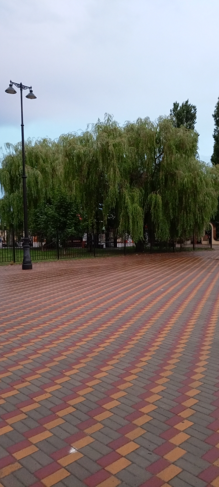The image depicts an outdoor scene with a weeping willow tree as the central subject. The tree has long, drooping branches that create a dense canopy. In front of the tree, a black metal fence encloses an area with some greenery and structures that are partially obscured. To the left of the tree, a black lamppost with two lights stands tall. The ground in the foreground is paved with interlocking bricks in a repeating pattern of red, yellow, and grey. The sky above is overcast and light blue. The scene appears to be a public park or walkway. The location is identified as Kirsanov, Russia.