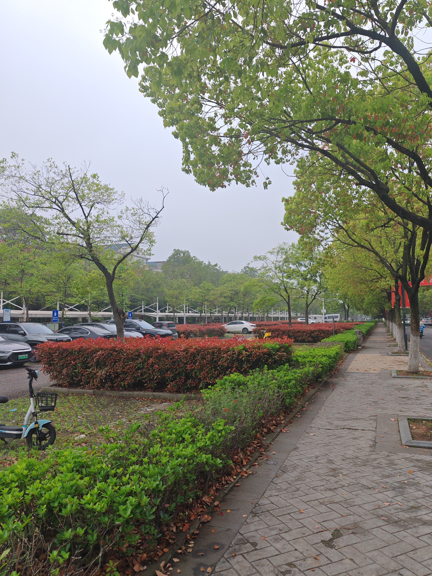 The image depicts a street scene in Jiangning District, China. A paved sidewalk runs along the right side of the frame, bordered by a row of trees with green leaves. To the left of the sidewalk is a green and red hedge separating the sidewalk from a parking area where several cars are parked. In the foreground, a blue scooter is parked near the hedge. The sky is overcast. In the background are trees and buildings.