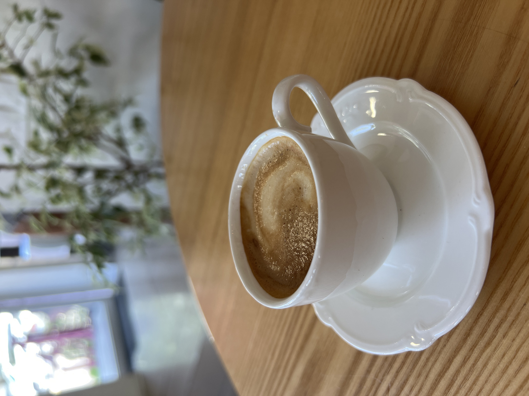 A close-up shot focuses on a white ceramic cup of coffee with a creamy foam art design, resting on a matching white saucer with an ornate edge. The set is placed on a light-colored wooden table with a visible grain pattern. In the blurred background, a plant with green and white leaves is visible, and beyond that, a doorway or large window reveals a hint of an outdoor scene with what appears to be a bright, possibly urban, setting. The lighting suggests an indoor environment, possibly a cafe. No people are present in the image, and there are no explicit indications of the specific location within Odesa, Ukraine.