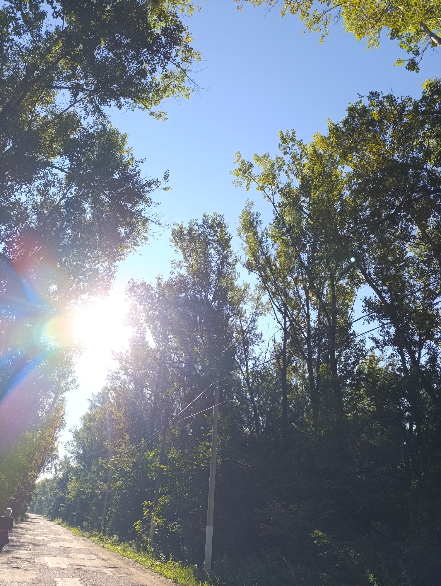 The image captures a sun-drenched, tree-lined path in an outdoor location. The sun is bright, creating lens flare and illuminating the scene. Tall trees with lush green foliage border the path, with some branches extending to frame the clear blue sky above. The path itself appears to be made of asphalt or a similar material, with some visible cracks and wear. A single person, seen from behind and partially obscured by the sun's glare, is walking away from the camera on the left side of the path. There are utility poles with wires visible along the right side of the path, suggesting a developed area. The overall impression is one of a peaceful, natural setting on a bright, sunny day.