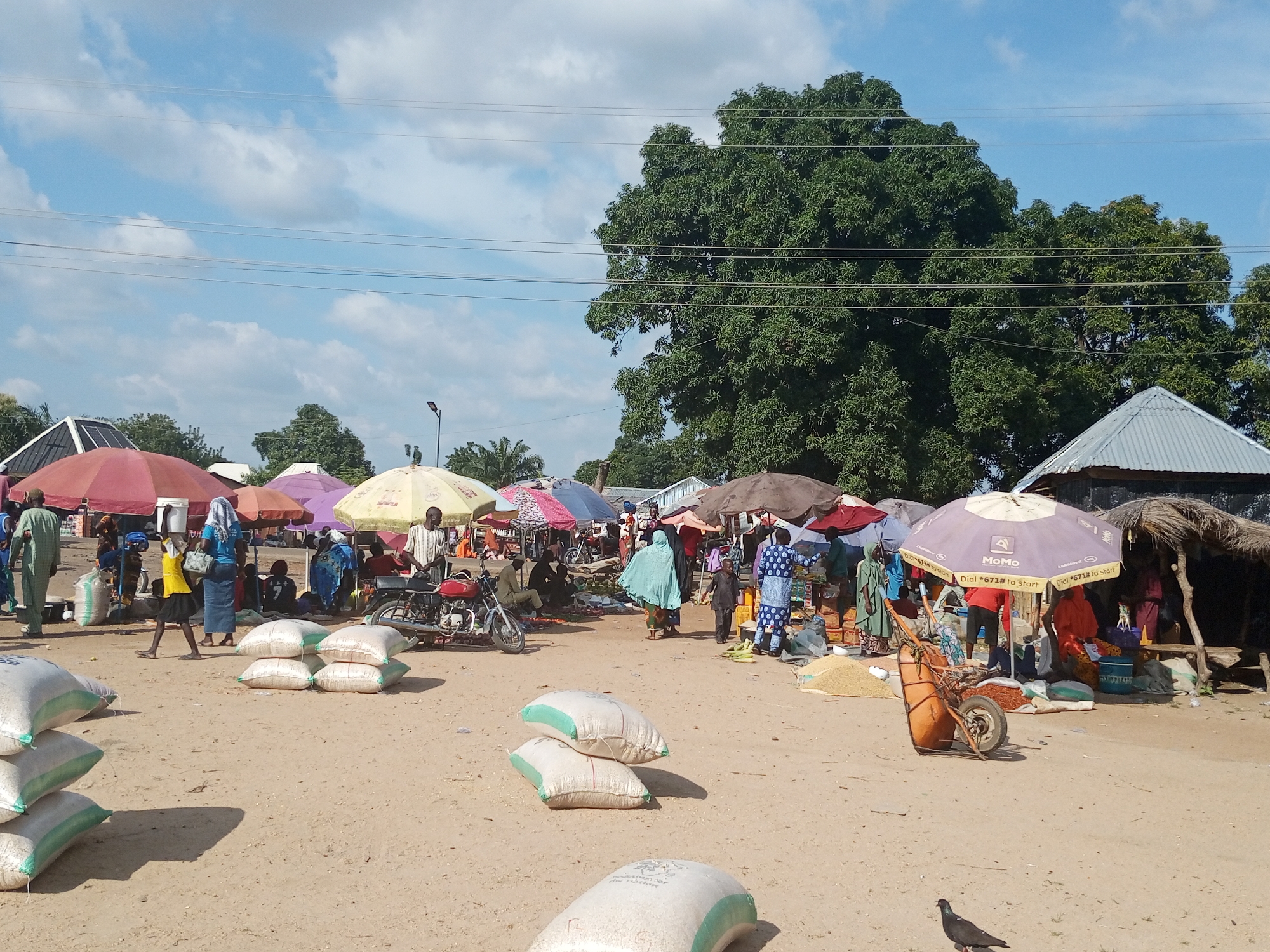 This is a medium shot, eye-level outdoor photograph of a busy marketplace in Beli, Nigeria. The scene is a dusty, open area with several market stalls set up under colorful umbrellas and makeshift shelters. The ground is a light brown dirt.
In the foreground, there are several large sacks of grain or other produce, some stacked, with green trim. A few are fully visible, while others are partially obscured. In the middle ground, people are browsing and interacting at the various stalls. There are many individuals, some appearing to be vendors and others customers, dressed in vibrant, traditional clothing. Several motorcycles are parked among the stalls, indicating transportation.
Various items are displayed for sale, including piles of grain, food items, and possibly other merchandise. The market is covered by a variety of umbrellas, predominantly in shades of red, yellow, purple, and brown, providing shade from the sun. One prominent purple umbrella has the text "MoMo Dial *671# to start" printed on it.
In the background, large, leafy green trees form a dense canopy, suggesting a warm climate. The sky above is a bright blue with scattered white clouds. The overall impression is one of a lively, active marketplace on a sunny day, with the atmosphere of commerce and community. The lighting suggests it is daytime, likely mid-morning or afternoon, given the angle of the shadows. There are no overt signs of specific emotions, but the general scene depicts a bustling commercial activity.
