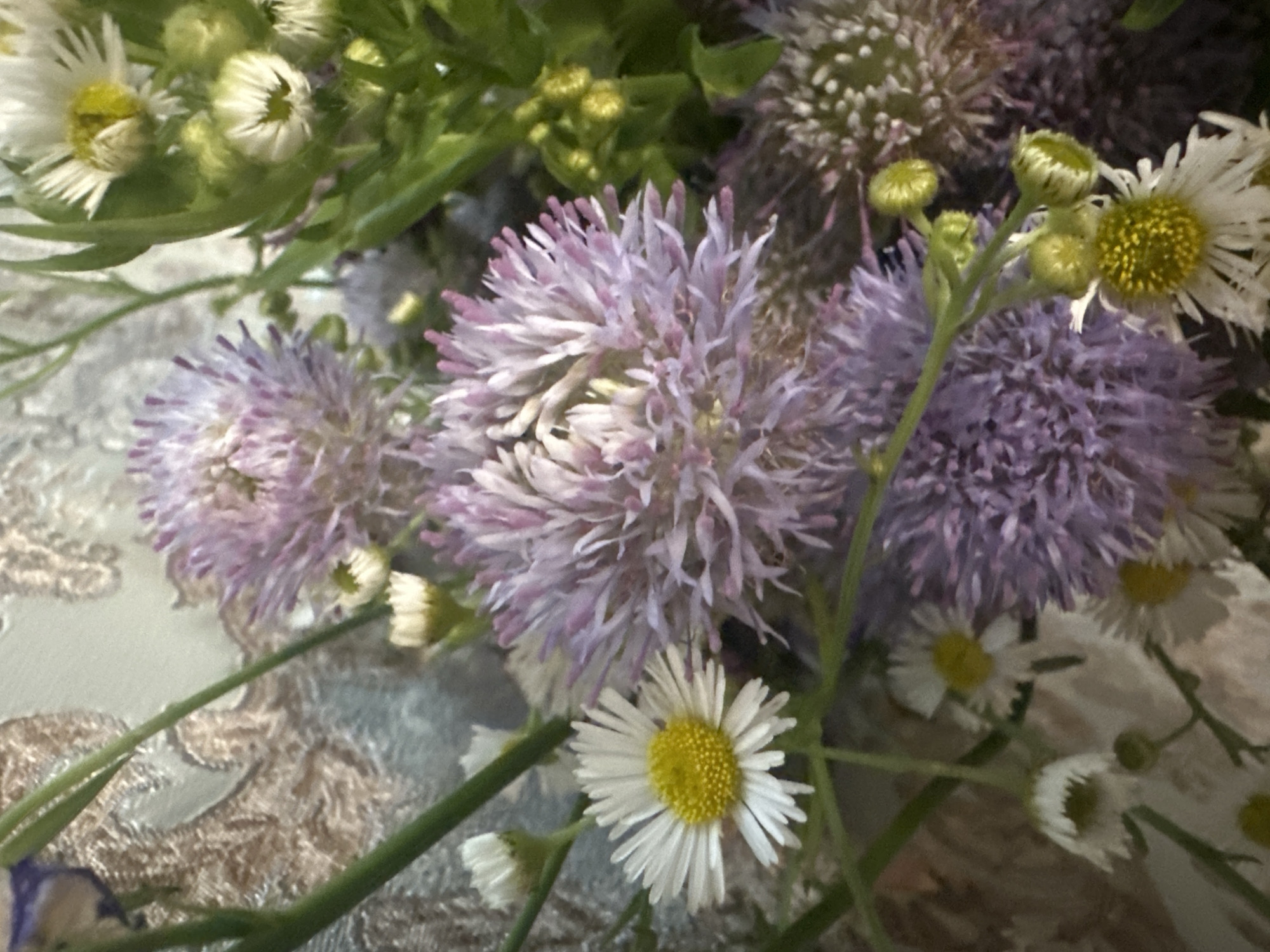 A close-up shot captures a bouquet of flowers with a textured, possibly metallic or embroidered, fabric background. The bouquet features several types of flowers. Prominently displayed are large, spherical flowers with delicate, pale purple and white petals that fan out from a central core. Interspersed among these are smaller, daisy-like flowers with white ray florets and bright yellow centers. Some buds, a light green color, are also visible. The stems are thin and green. The lighting appears to be natural, casting subtle shadows and highlighting the textures of the petals and background. The overall scene is soft and slightly diffused.