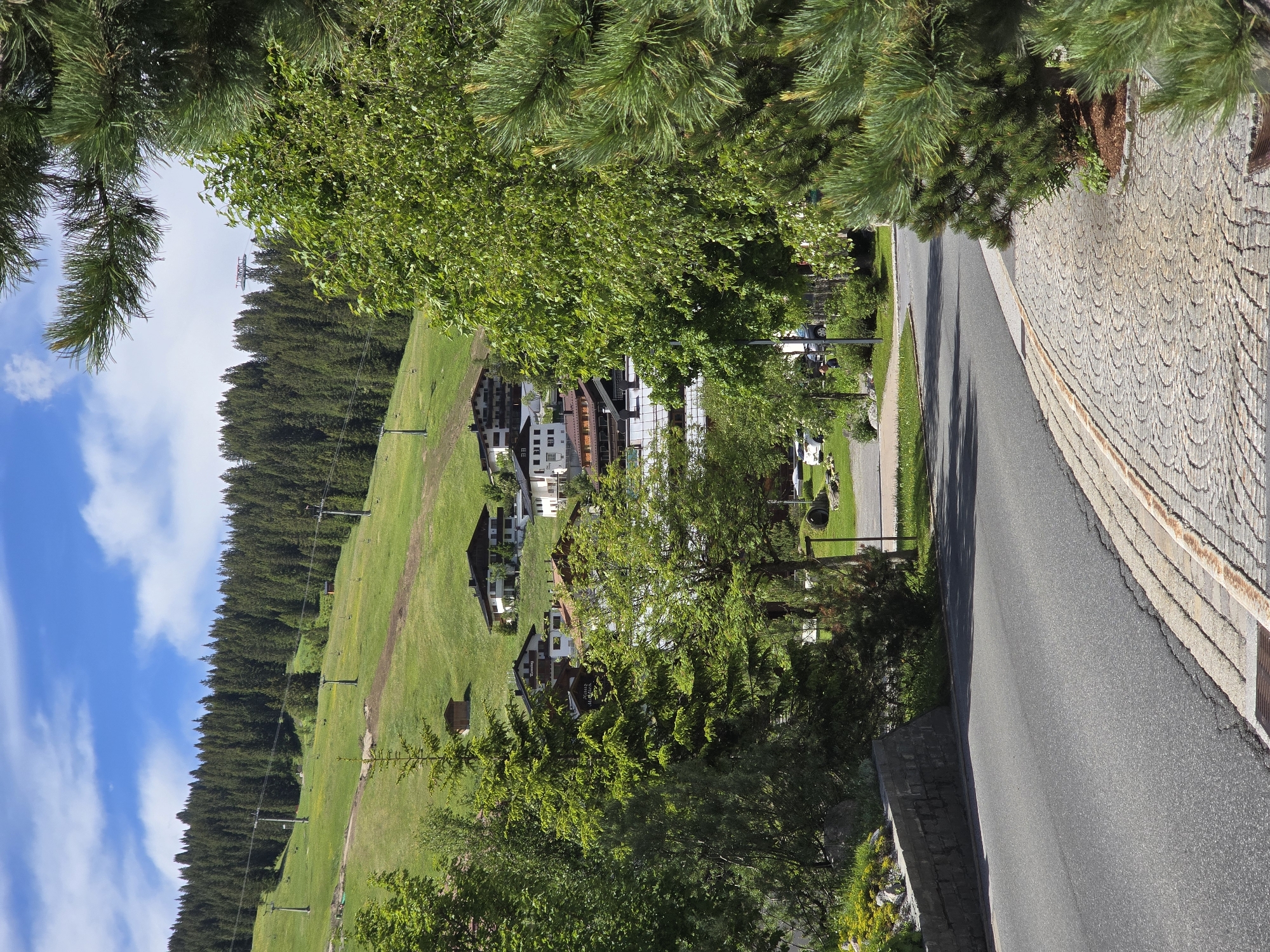 The image depicts a view of the village of Lech, Austria, nestled in a valley with a ski resort visible on the mountainside. In the foreground, a paved road curves to the right, bordered by a cobblestone path and lush green trees, including pine branches in the right foreground. Beyond the road, a retaining wall separates the road from a grassy slope with scattered yellow flowers.
In the midground, a cluster of houses with dark roofs are visible. These buildings appear to be chalets, characteristic of alpine architecture. Behind the houses, the mountainside rises steeply, covered in a dense forest of evergreen trees. Ski lifts with poles and chairs are present on the grassy slopes, indicating the area's use as a ski resort. A small wooden shed is situated on the lower part of the mountain.
The sky above is a clear blue with scattered white clouds. The lighting suggests it is daytime, likely late morning or early afternoon, given the angle of the shadows. No people are clearly visible in the scene, though there are parked cars and a few streetlights. The overall impression is one of a serene mountain village in the summer, with remnants of its winter ski season activities visible on the slopes.