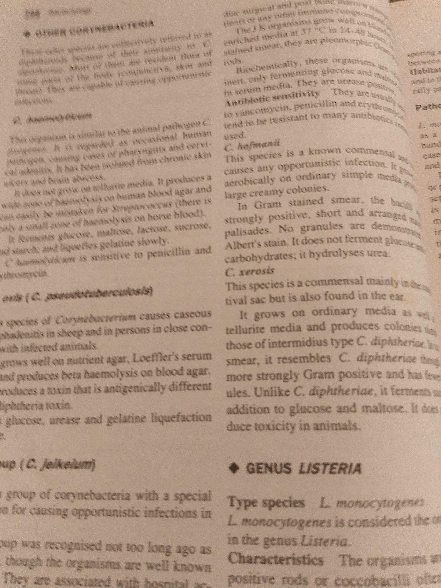 The image displays a page from a medical textbook, detailing information about various bacteria, specifically Corynebacterium species and the genus Listeria. The text is arranged in columns, with headings and subheadings. The page appears to be from a biology or microbiology section discussing pathogenic organisms. There is no information within the image that relates to the city of Jauro Yinu, Nigeria, or any forensic scene.