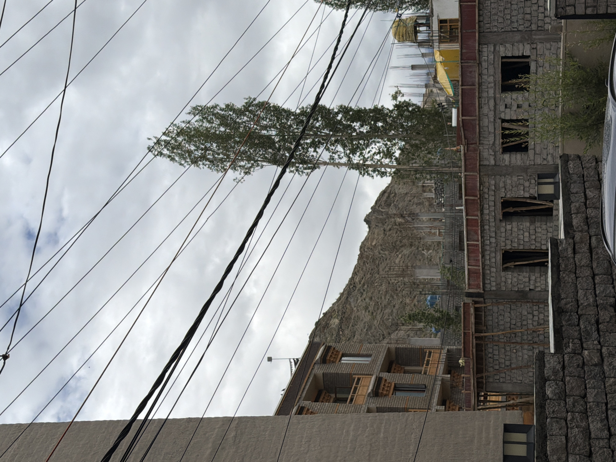 The image depicts a street scene in Leh, India, under a cloudy sky. A multi-story building constructed with stone and wood accents is partially visible on the left. In the center, a tall, slender tree stands out against the sky, with numerous power lines crisscrossing the frame. Behind the tree, a steep, rocky mountain rises. In the midground, a building under construction is evident, with exposed rebar and concrete pillars. Further in the background, another building with a yellow water tank on its roof is visible. The foreground shows a low stone wall. The overall impression is one of ongoing development and the presence of essential infrastructure like power lines in a mountainous, semi-arid environment.