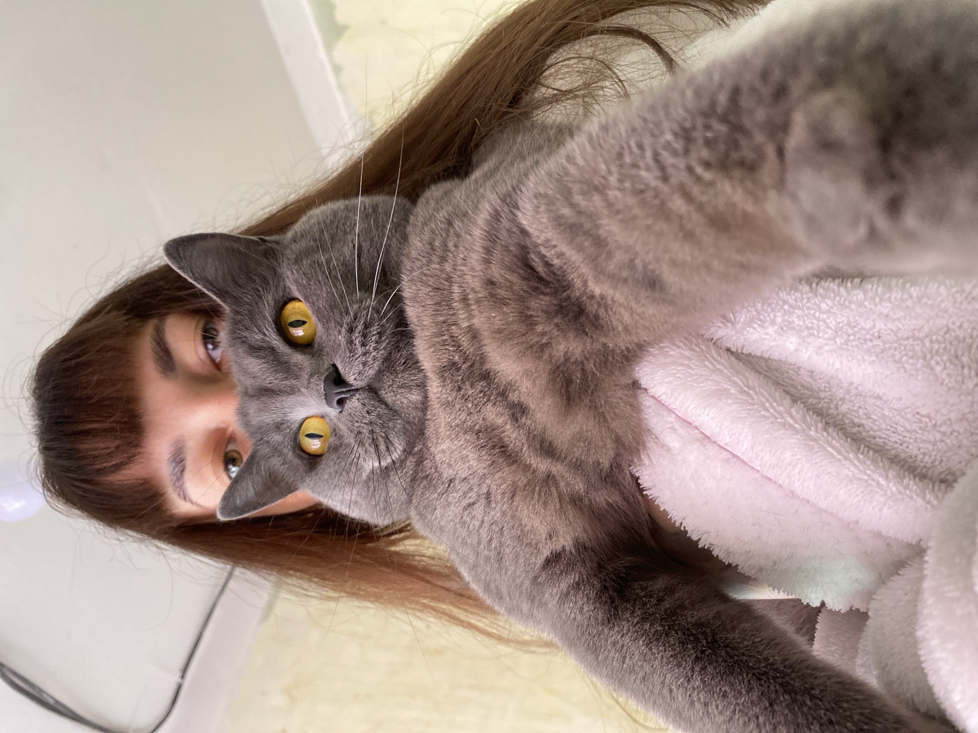 A woman with brown hair is posing for a close-up selfie with a gray cat. The cat has yellow eyes and is positioned between the woman and the camera, partially obscuring her face. The background appears to be a blurred interior, possibly with a white-colored wall or surface visible. A pink fluffy blanket is partially visible. The image provides no indication of the location being Votkinsk, Russia.