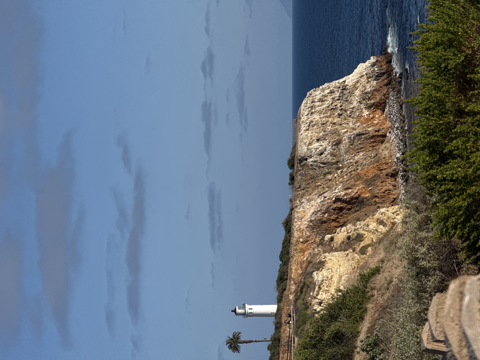 The image shows the Point Vicente Lighthouse, located in Rancho Palos Verdes, California, United States. The lighthouse, a white cylindrical structure with a black top, stands near the edge of a cliff. A palm tree is located near the lighthouse. The cliff is composed of layers of rock and is covered with vegetation. The ocean is visible on the right side of the image, with waves crashing against the cliff. The sky is blue with some clouds.