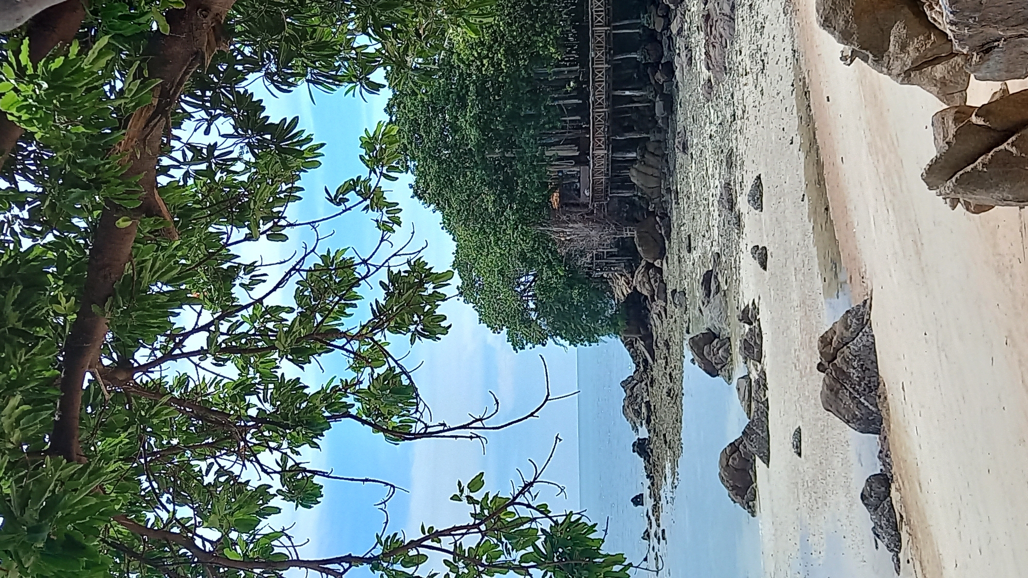 The image depicts a serene coastal scene in Tambon Ko Pha Ngan, Thailand. The foreground features a sandy beach with scattered rocks of various sizes. Further inland, a rocky shore meets the calm, light blue ocean. Lush green trees line the coastline, their branches extending into the frame from the top, framing the view of the sea and the distant treeline. Partially visible amidst the foliage is a wooden structure, possibly a resort or restaurant, elevated on stilts and featuring a walkway with patterned railings. The sky is clear with a few wispy clouds. There are no people visible in the image.