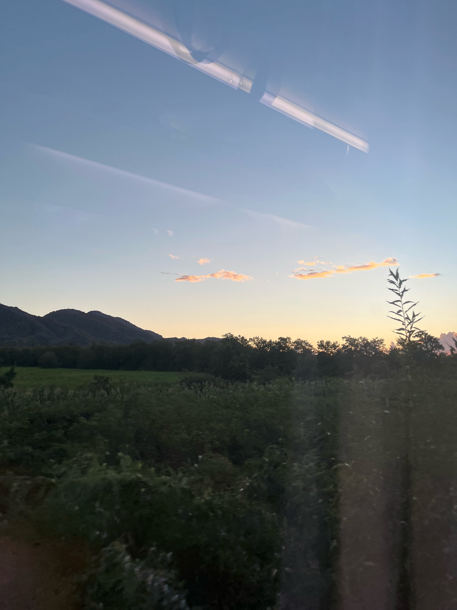 The image depicts a landscape at dusk, viewed through a window, likely from a moving vehicle. The sky is a gradient of pale blue to a soft orange near the horizon, with a few wispy clouds tinged with pink. In the foreground, dense green foliage fills the lower portion of the frame, transitioning to a dark line of trees against the lighter sky. To the left, a silhouette of rolling hills or mountains is visible. Reflections from inside the vehicle, possibly from lights, are visible across the top of the image. The scene appears to be a rural or natural setting, potentially on the outskirts of a settlement. The specific location of Lesi, Georgia, is not visually identifiable from the image alone.