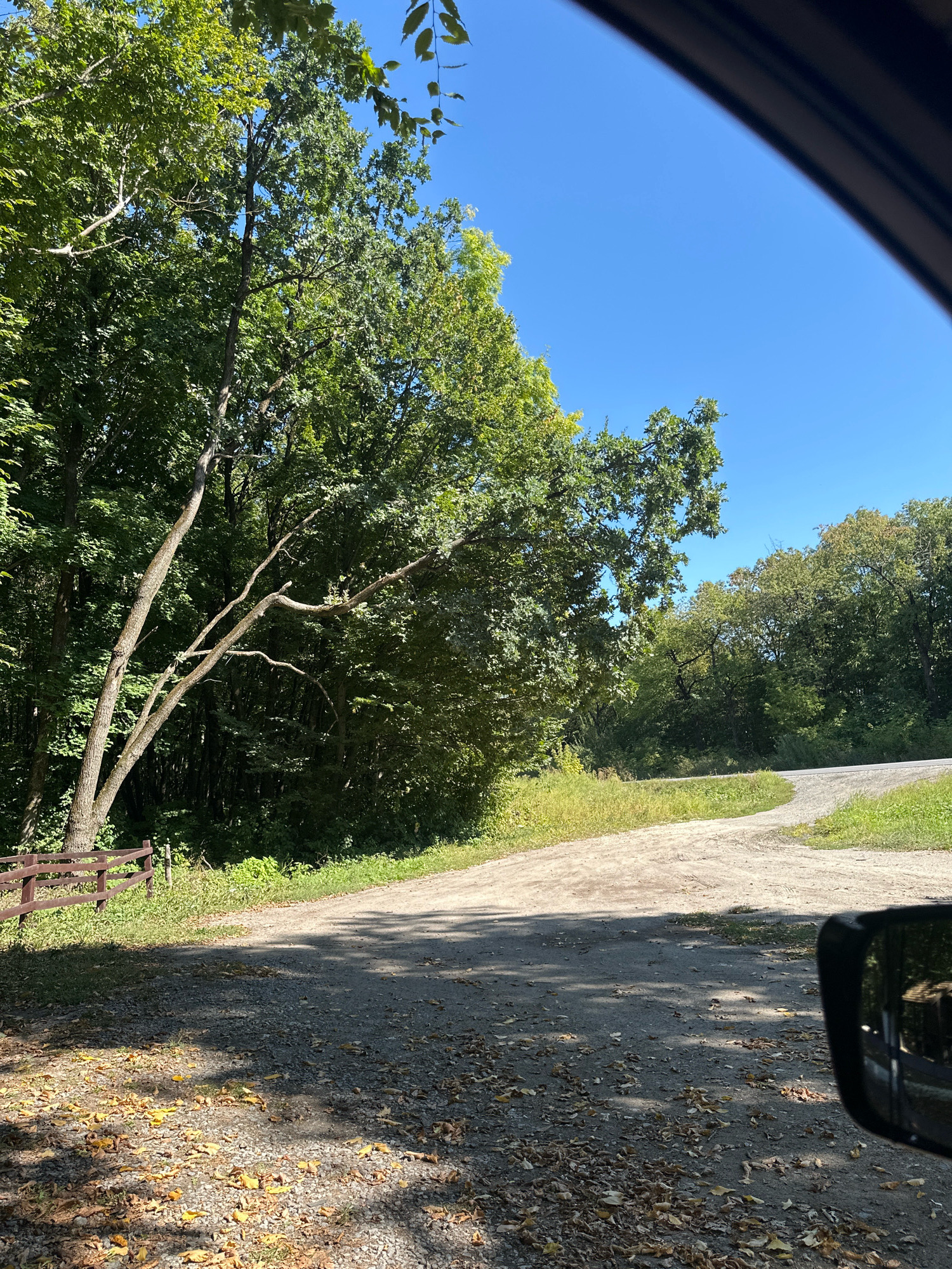 This image depicts a gravel road winding through a wooded area under a clear blue sky. The road surface is covered with small stones and fallen leaves, suggesting an autumn setting. On the left side of the road, a brown wooden fence runs along the edge of the trees. The trees are lush and green, with some branches extending over the road. In the foreground, a reflection of what appears to be a building or structure can be seen in the side mirror of a vehicle, which is partially visible in the lower right corner of the frame. The scene is set in the city of Shatava, Ukraine.