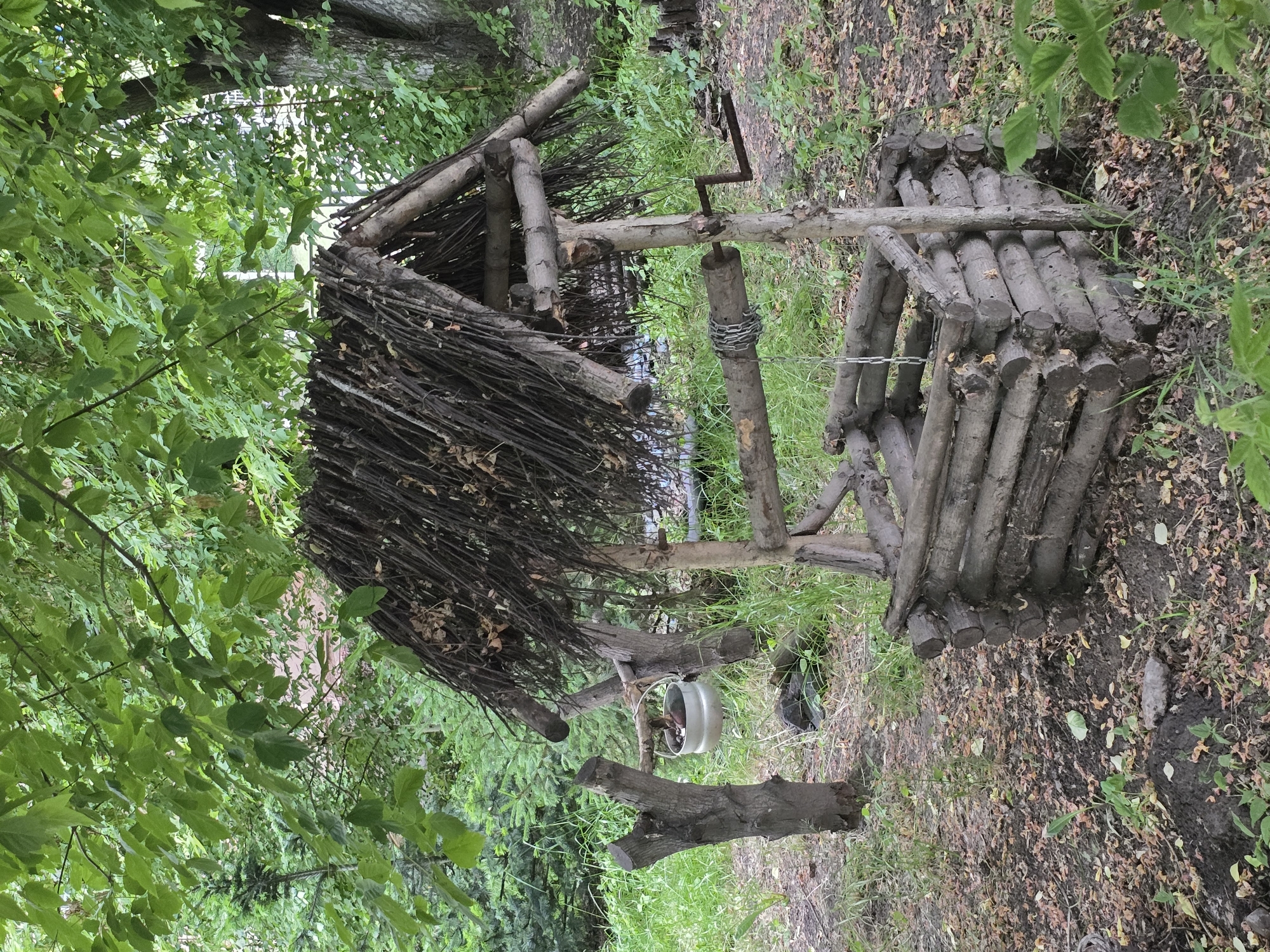 An outdoor scene depicts a rustic well constructed from logs, situated within a wooded area characterized by lush green foliage and leaf-strewn ground. The well structure features a square wooden base made of stacked logs, with a central support post. Extending from this post is a horizontal beam that supports a wooden roller, around which a chain is wrapped. A crank mechanism is attached to one end of the roller. A second, smaller post to the left of the well has a bucket suspended from it. The entire structure is topped with a thatched roof made of branches and leaves, supported by wooden poles. The background consists of trees and dense greenery, suggesting a natural, possibly uncultivated, environment.