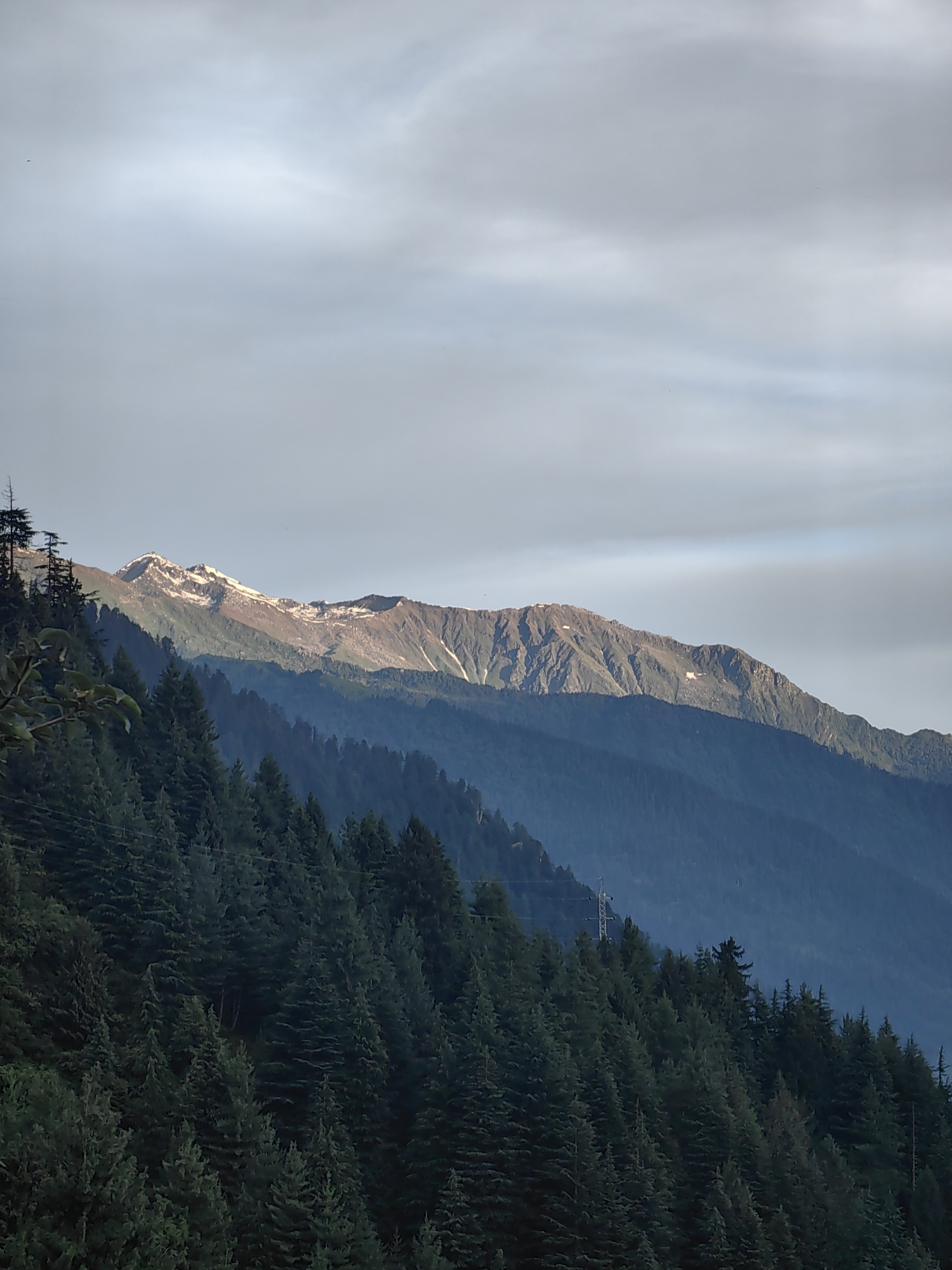 The image depicts a mountain landscape. In the foreground, a dense forest of pine trees covers a steep slope. The trees are dark green and appear to be a mix of mature and younger evergreens. Towards the middle ground, layers of mountains fade into a bluish haze, indicating distance. The highest mountain range in the background is illuminated by sunlight, revealing snow-capped peaks and rocky terrain. The sky above is overcast with soft, diffused light. A power line with a utility pole is visible cutting across the forested slope in the middle ground. This scene is likely located in or near the city of Manali, India, a popular hill station known for its mountainous terrain and coniferous forests. There are no people or animals visible in the image.