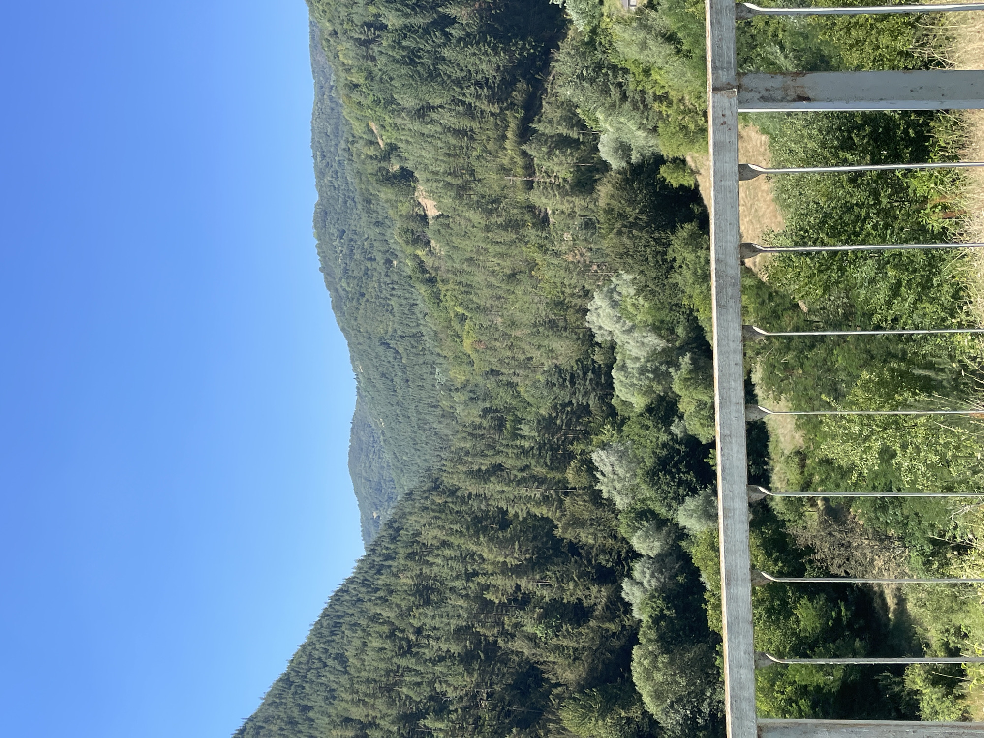 The image captures a scenic view of forested hills and a clear blue sky, framed by a metal railing in the foreground. The railing, made of weathered grey metal with vertical silver bars, suggests a vantage point, possibly a bridge or a viewpoint. Below the railing, a lush green valley unfolds, densely covered with a variety of trees, including tall pines and leafy deciduous trees. The terrain appears mountainous, with undulating slopes leading to higher, more distant peaks covered in a softer, more muted green foliage. Sunlight bathes the landscape, highlighting the textures of the trees and the dry, golden grass visible in patches among the greenery. The overall impression is one of a serene, natural environment. The location is identified as being in the city of Banite, Bulgaria.