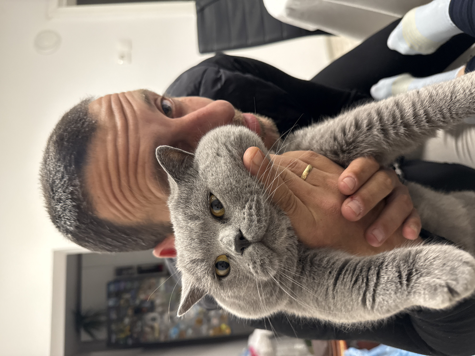 A man is holding a grey cat close to his face. The man has short, dark hair and light skin. He is wearing a black shirt. The cat is a British Shorthair with yellow eyes and a dense, grey coat. The man is holding the cat with one hand, and a gold ring is visible on his finger. The background is blurred, but suggests a modern interior. It is not possible to confirm if the image was taken in Varna, Bulgaria, or any other specific location.