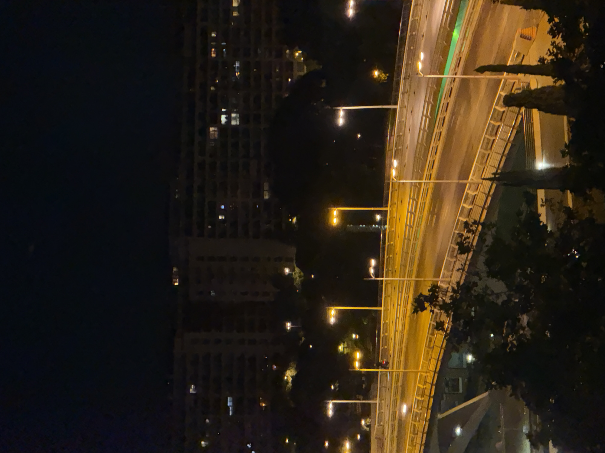 Captured at night, the image reveals a bridge in Valencia, Spain, illuminated by a line of equidistant streetlights. To the left, tall buildings with lit windows stand in the distance, contrasting with the dark sky. Trees are present on the right, partially obscuring the view of the bridge. The focus is on the bridge and its lighting, with the surrounding cityscape providing context.