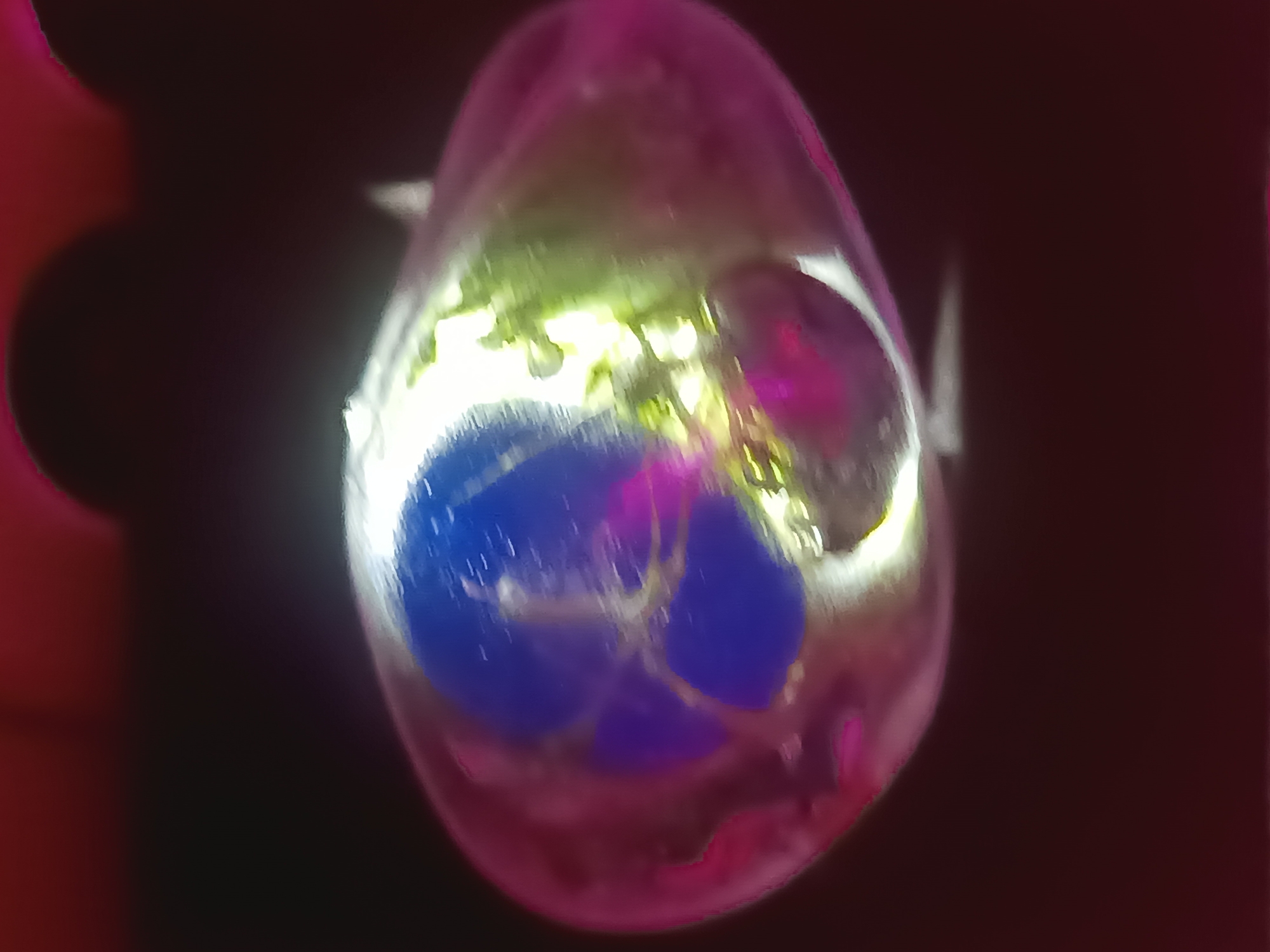 The media file is a close-up, blurry photograph of a translucent, teardrop-shaped object against a dark background. The object is illuminated from within, revealing internal structures and colors. Prominently, there are areas of vibrant blue and bright green light, with hints of pink and purple. The blue areas appear to be solid, rounded masses, while the green light illuminates more intricate, possibly organic or crystalline, formations. The object itself seems to have a smooth, glossy surface, and the lighting creates a glow effect, obscuring fine details. The overall impression is of something artificial or perhaps a specimen viewed under specific lighting conditions. The background is largely out of focus and dark, with some faint reddish-pink hues visible on the left and right edges, possibly from the environment or another object not fully captured. There is no discernible text, weather, time of day, or specific location cues within the image itself, beyond the provided context that it is from Sluck, Belarus. The image's blurriness and abstract nature make it difficult to definitively identify the subjects or activity, but it suggests an observation of an illuminated object, possibly for scientific or artistic purposes.