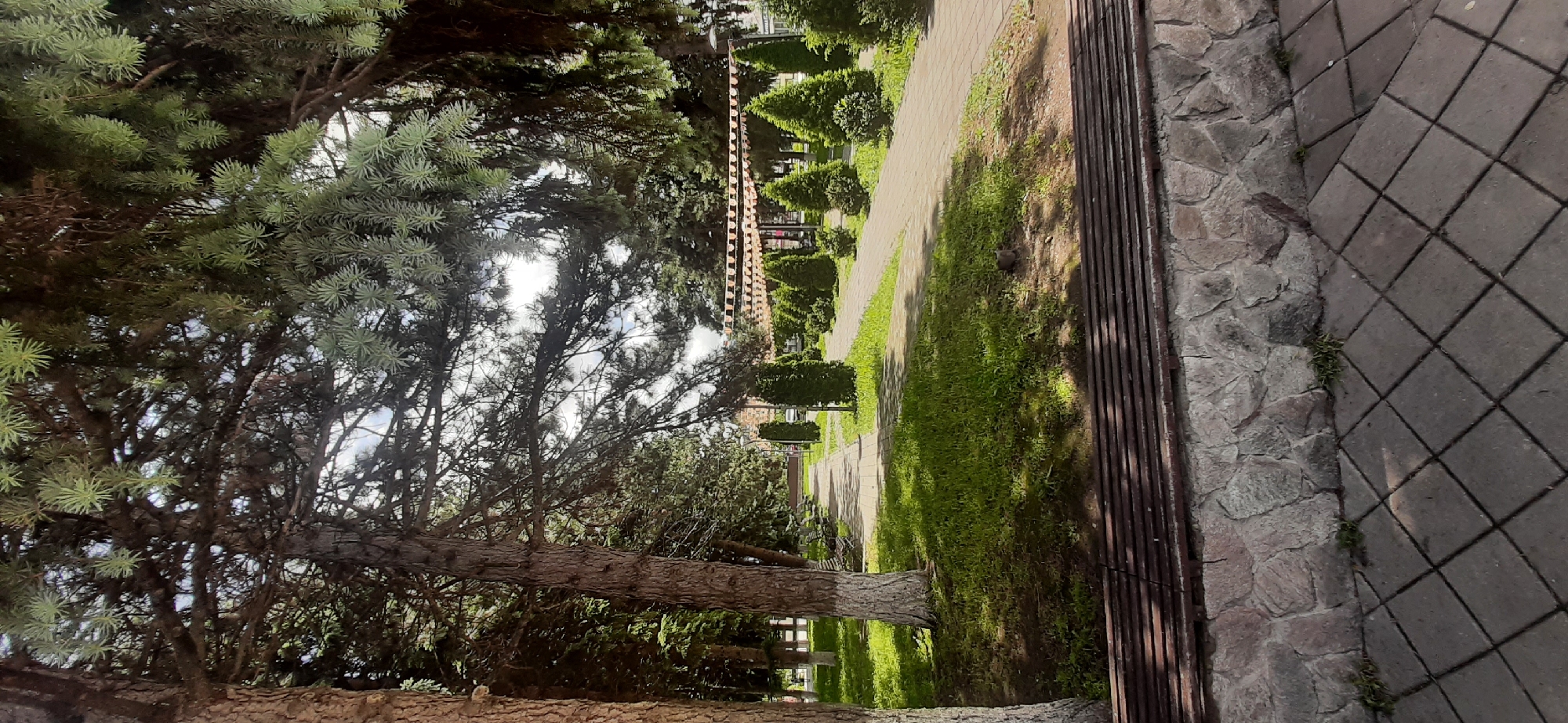 This is a photograph of a park pathway in Yessentukskaya, Russia, on a cloudy day. The pathway is paved with interlocking gray stones and is lined with manicured green shrubs and trees. Sunlight filters through the dense canopy of evergreen trees that arch over the path, creating dappled shade. A stone retaining wall runs along the foreground, topped by a dark wooden bench. In the background, a string of decorative flags is strung between poles, and buildings can be seen beyond the trees. The overall impression is one of a well-maintained public park.