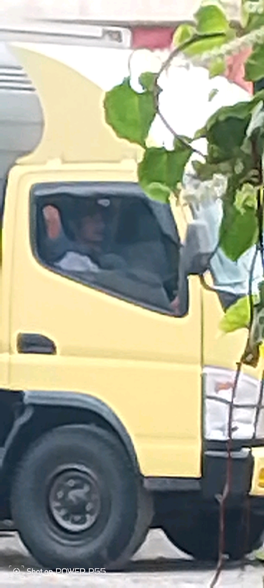 In Secang, Indonesia, a yellow truck is parked. The truck has a shark fin-like decoration on its roof. A person is visible through the driver's side window, with their right hand resting on the open window. The truck has a large black tire and a black fender. Green foliage is in the foreground, partially obscuring the view of the truck. The background is blurred and appears to be a light-colored wall or building. The image includes a watermark at the bottom indicating "Shot on POWER P55".