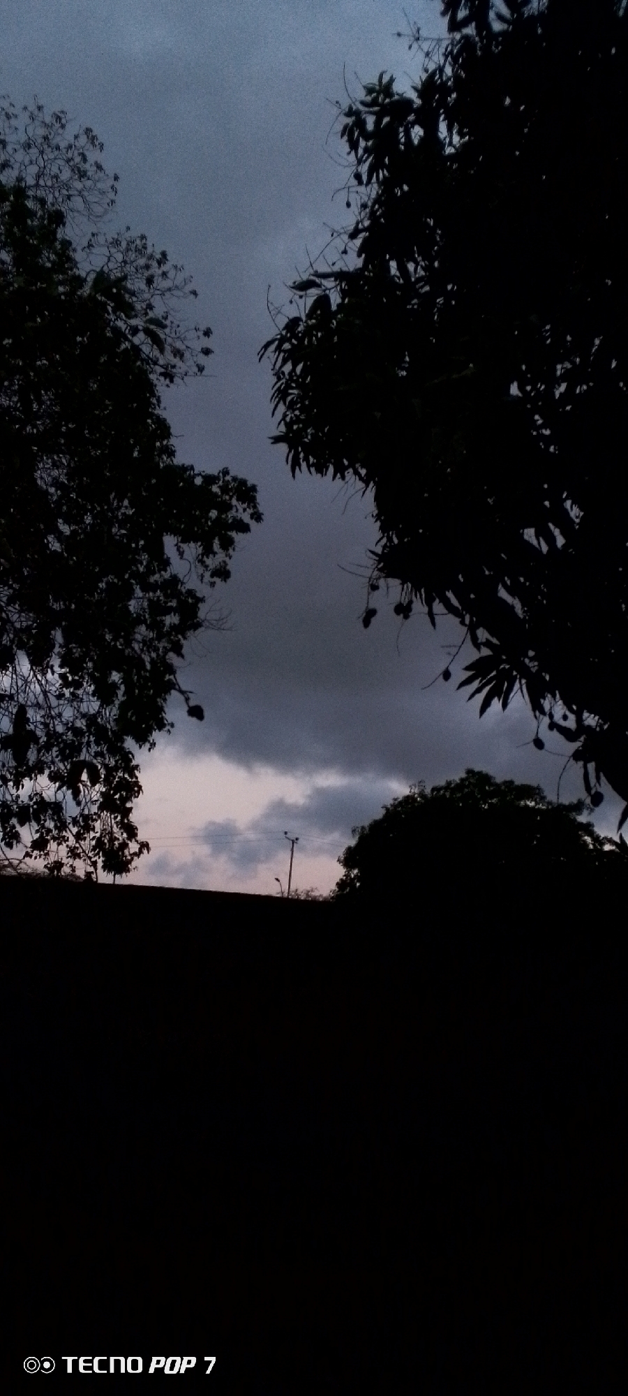 The photograph, taken with a TECNO POP 7, captures a dark scene in Altagracia, Venezuela, likely at dusk or night. The silhouette of trees frames the view of a cloudy sky. A light pole is visible in the distance. The foreground is obscured by darkness.