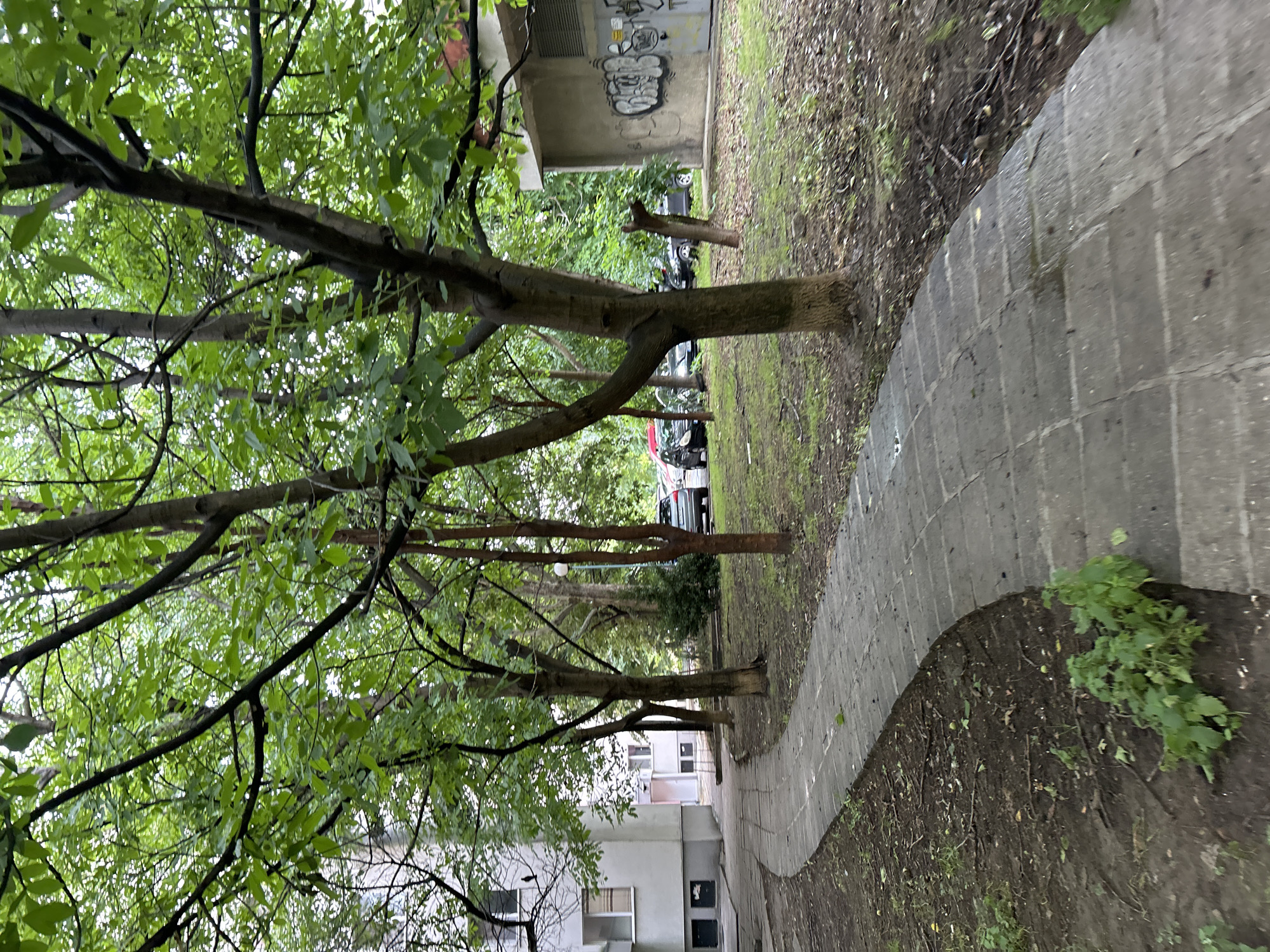 The image depicts a paved pathway curving through a grassy area with trees. To the left, a light-colored building with windows is visible. Several cars are parked in the background, and a concrete structure with graffiti is on the right. The scene appears to be in an urban residential area in Plovdiv, Bulgaria, possibly within a courtyard or park. The lighting suggests it is daytime, possibly overcast.