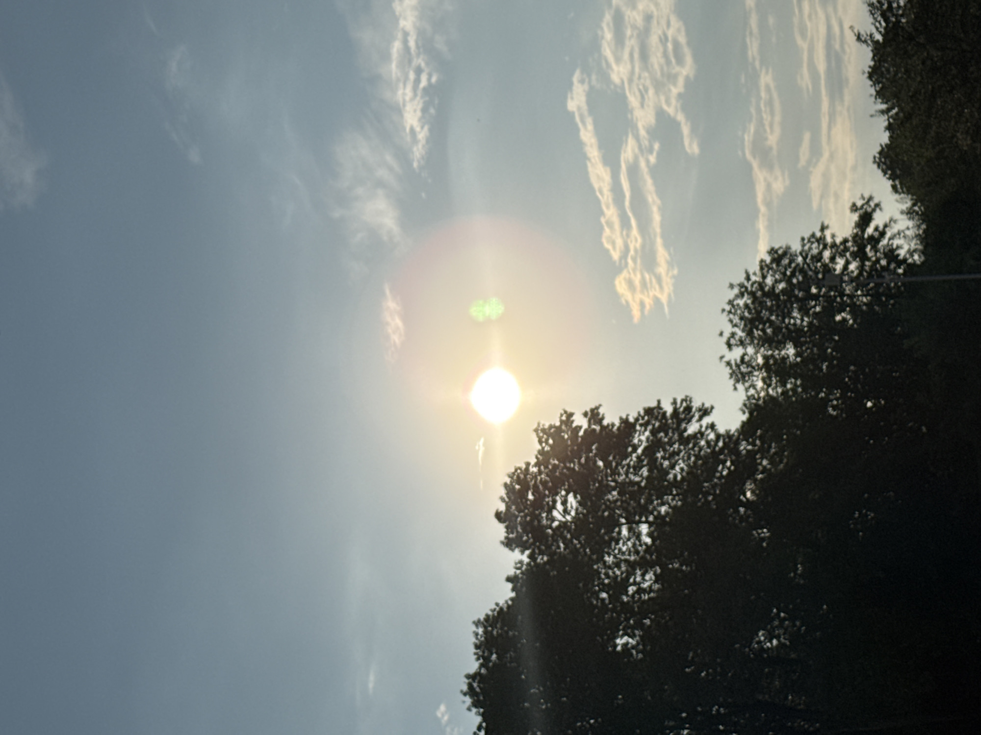 The image shows a sky with the sun shining brightly. There are some trees in the foreground, silhouetted against the sky. The sun is creating a lens flare, which appears as a bright circle with a green tint. There are also some clouds in the sky, which are wispy and thin. The image is taken from a low angle, looking up at the sky. The overall mood of the image is peaceful and serene. The location in the city of Pleven, Bulgaria is not specified in the image, nor is there any indication of people or specific actions.