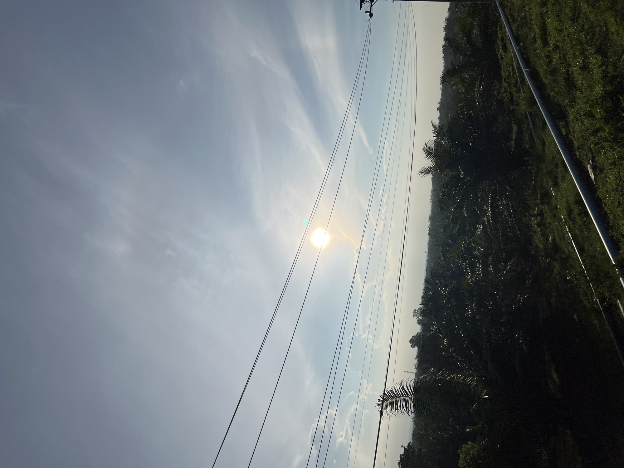 The image depicts an outdoor scene, likely in the city of Sukaramai Dua, Indonesia, under a clear sky with scattered wispy clouds. The sun, positioned in the upper center of the frame, is bright and casts a warm glow. Several power lines stretch horizontally across the sky, appearing to be supported by poles visible on the right side of the image. Below the power lines, a dense canopy of dark green foliage, possibly palm trees, dominates the mid-ground. The foreground features a grassy embankment with two large, light-colored pipes running diagonally from the lower right towards the center left of the frame. The overall environment suggests a rural or semi-rural area, with natural vegetation and infrastructure. No people or animals are visible in the image.