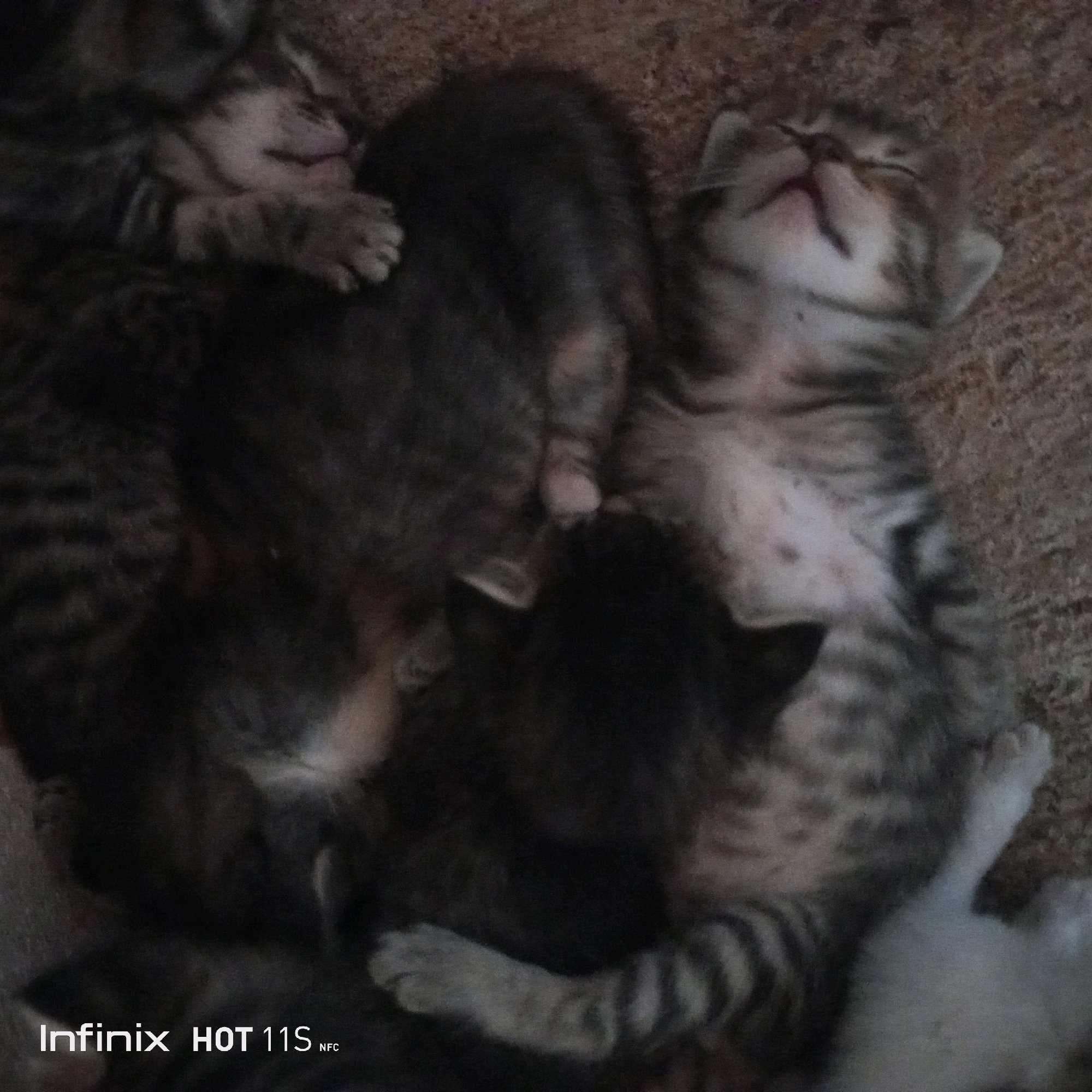 This is a close-up, top-down, slightly blurry photograph of four tabby kittens sleeping together on a textured surface, likely a carpet or rug. The kittens are a mix of light brown, grey, and black stripes. One kitten is on its back with its face tilted upwards and its mouth slightly open, revealing a pink tongue. Another kitten is curled up next to it, with its head tucked in. The other two kittens are partially obscured. The lighting is dim, creating soft shadows. The bottom left corner of the image has a watermark that reads "Infinix HOT 11S NFC". The scene is not identifiable as being located in Sukaslamet, Indonesia or any specific city.