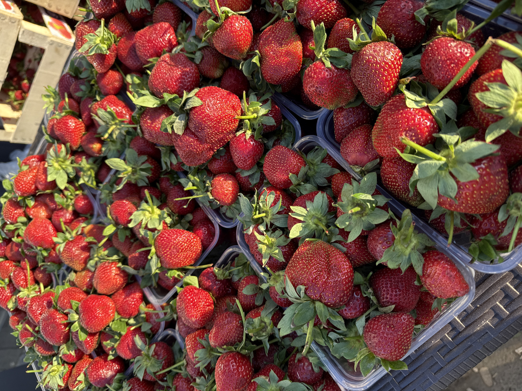The image shows a close-up of several containers filled with ripe strawberries. The strawberries are a vibrant red color with visible seeds and green stems. The containers appear to be made of clear plastic. The background is slightly blurred, suggesting a focus on the strawberries in the foreground. Some of the strawberries are large and oddly shaped. The containers are stacked atop a dark, woven or textured surface, possibly a plastic table. The scene is brightly lit, with sunlight casting shadows. There is no indication of a location in Vladimir, Russia or any people.